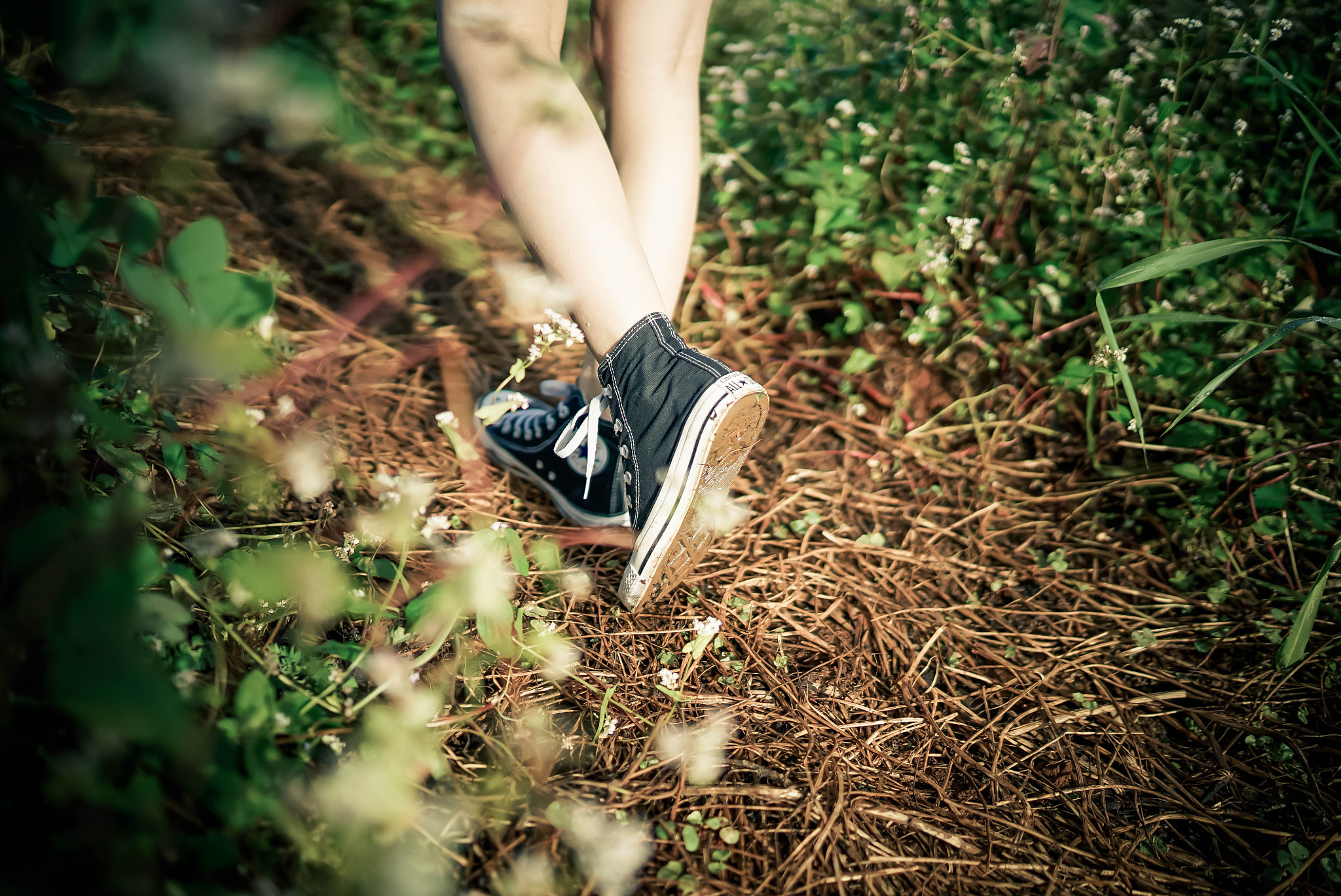 Sony a7S + Sony Distagon T* FE 35mm F1.4 ZA sample photo. 21-2.jpg photography