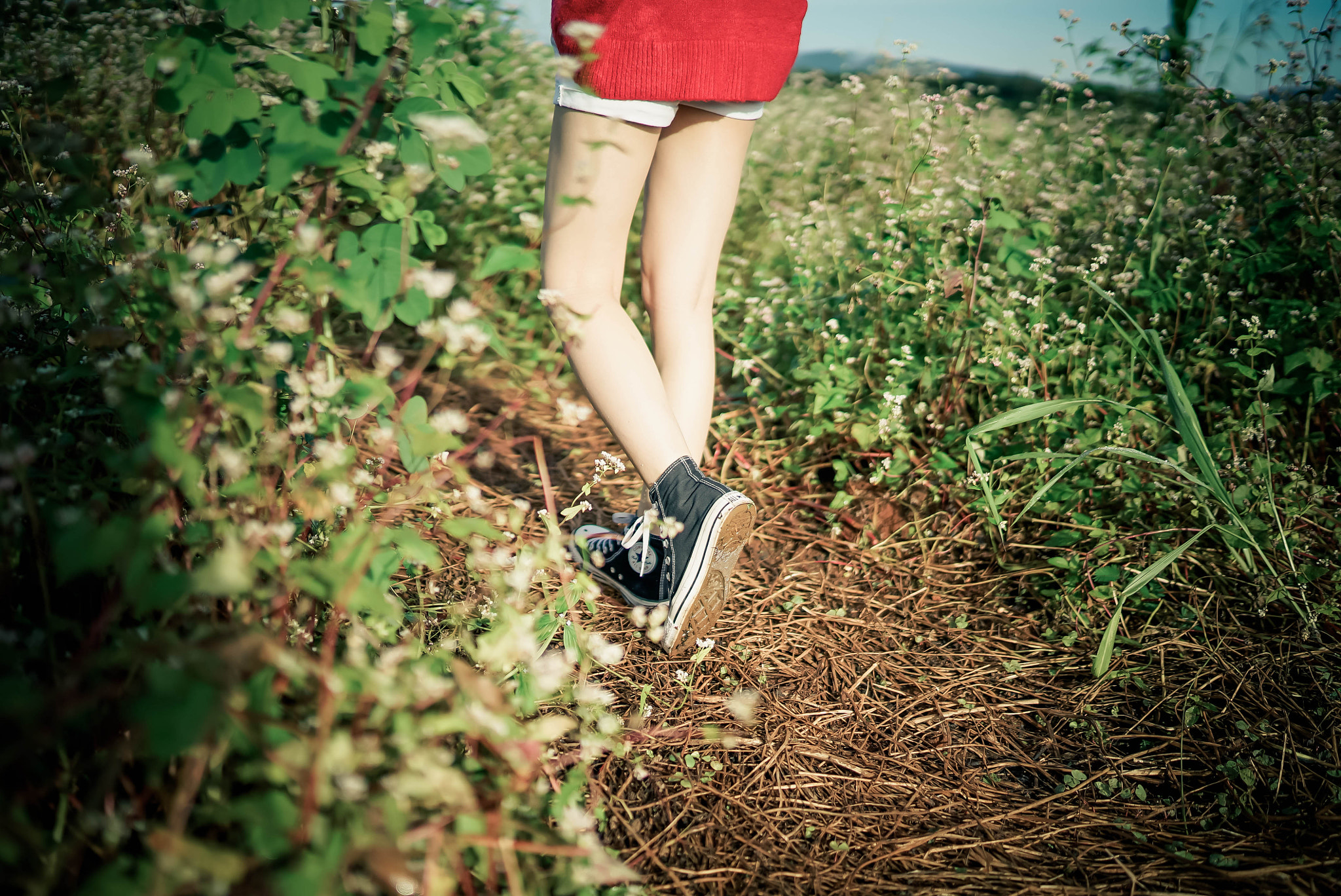 Sony a7S + Sony Distagon T* FE 35mm F1.4 ZA sample photo. 22-2.jpg photography