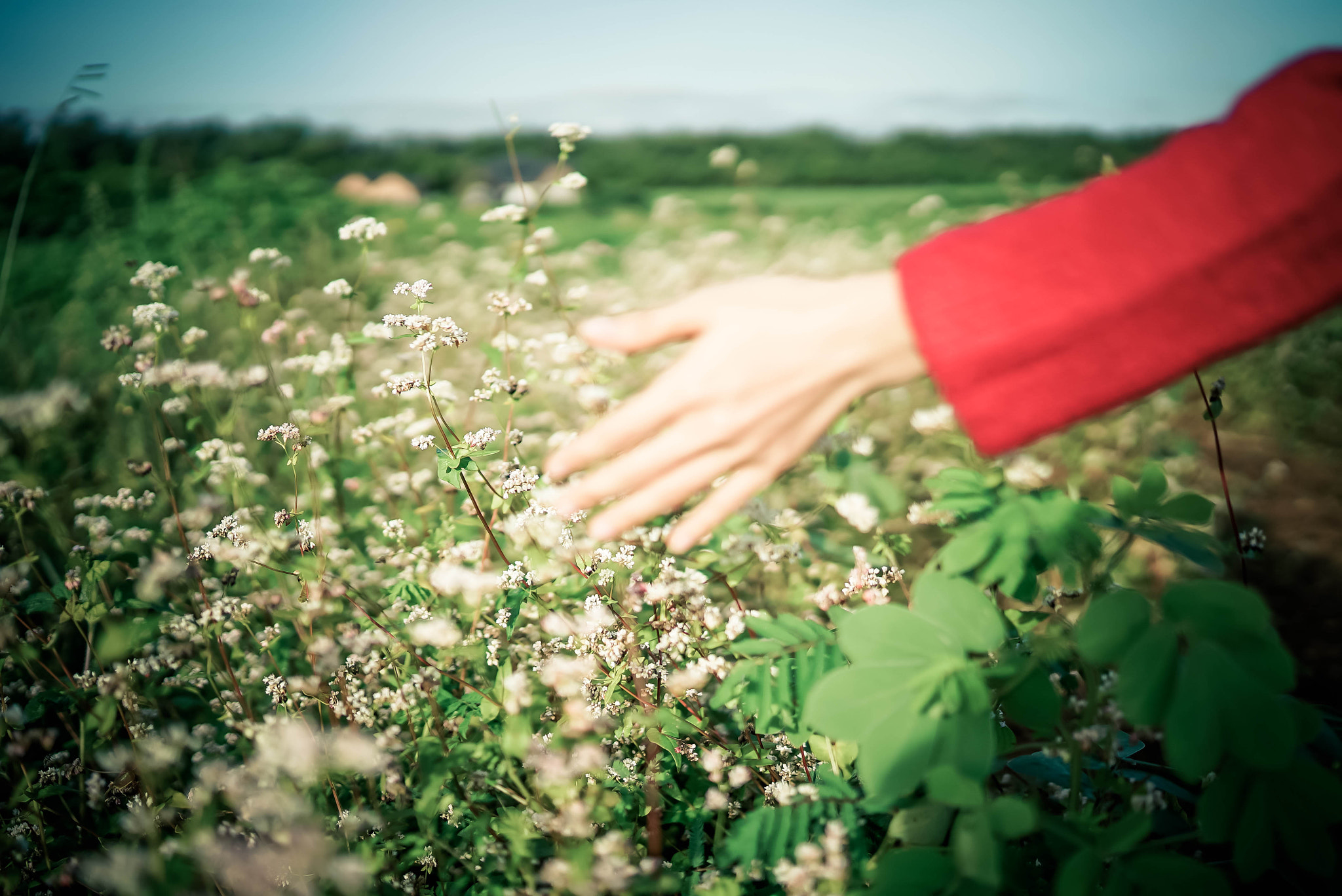 Sony a7S + Sony Distagon T* FE 35mm F1.4 ZA sample photo. 25-2.jpg photography