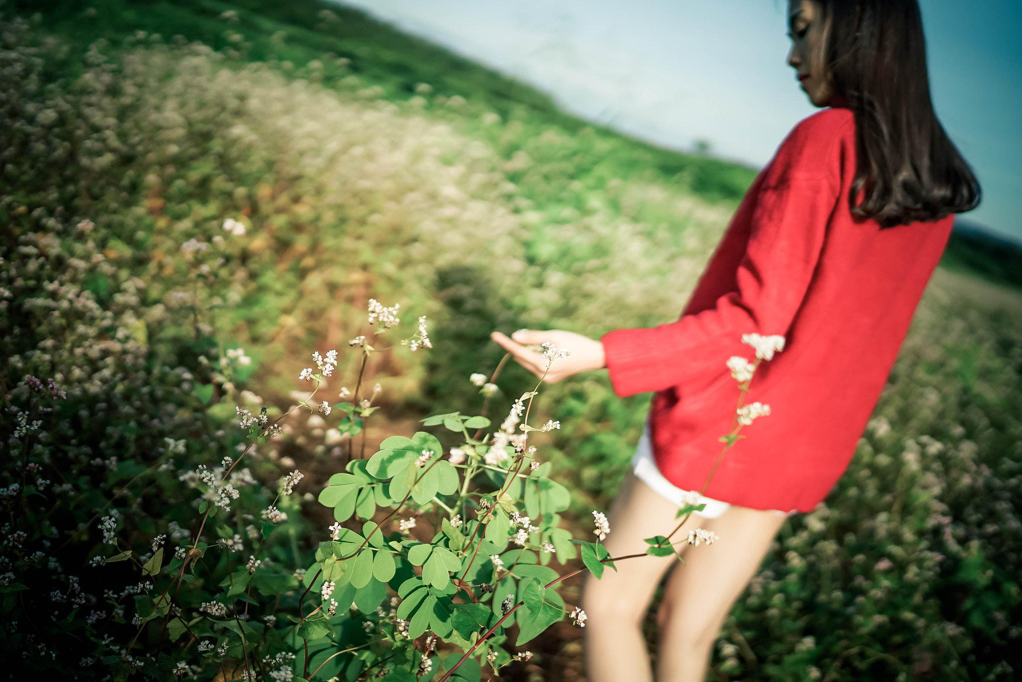 Sony a7S + Sony Distagon T* FE 35mm F1.4 ZA sample photo. 24.jpg photography