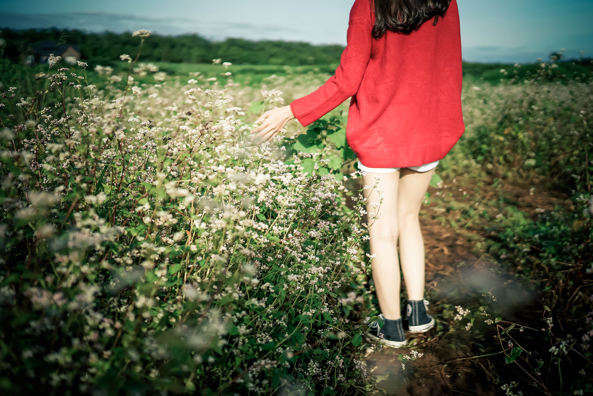 Sony a7S + Sony Distagon T* FE 35mm F1.4 ZA sample photo. 23-2.jpg photography