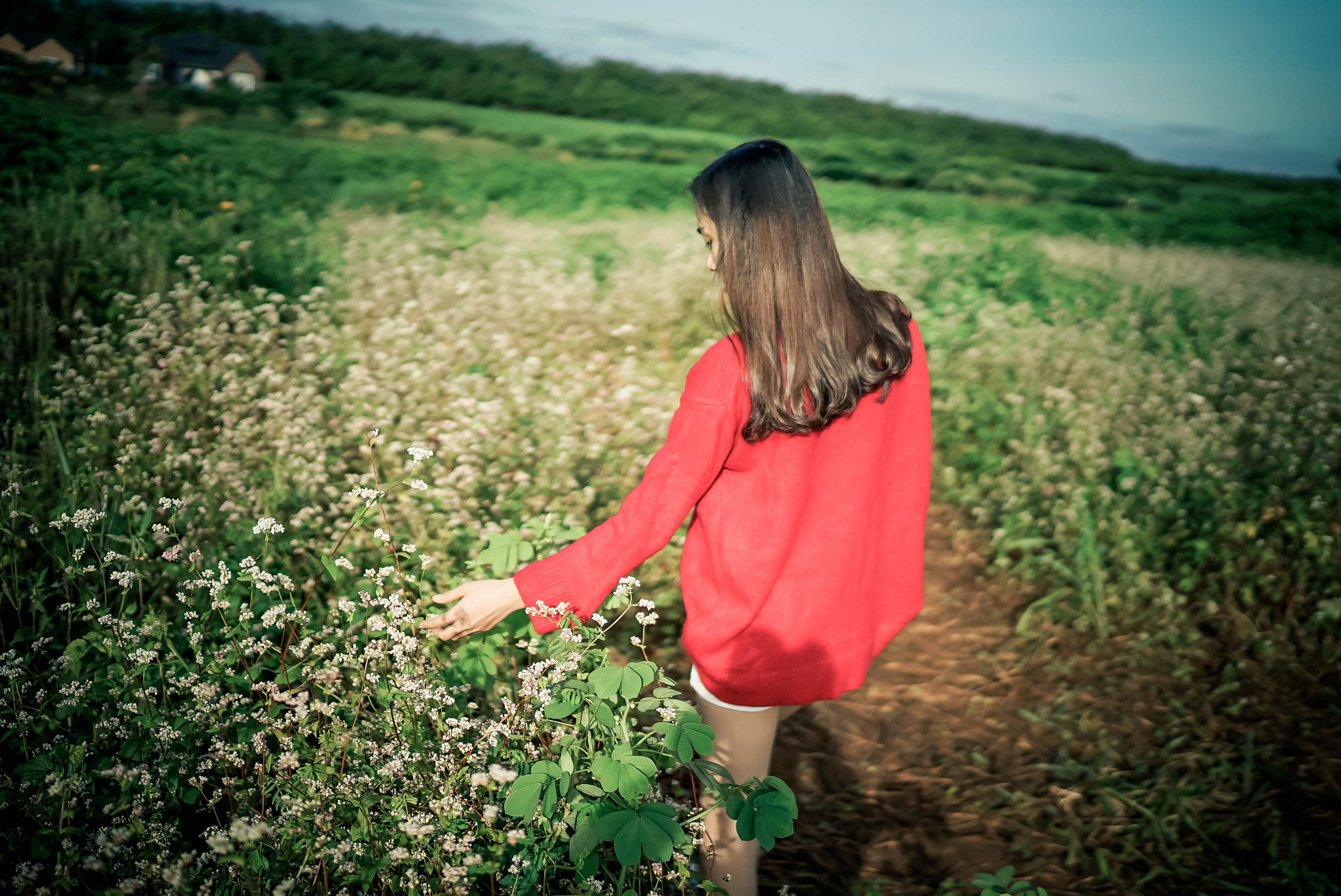 Sony a7S + Sony Distagon T* FE 35mm F1.4 ZA sample photo. 26-2.jpg photography