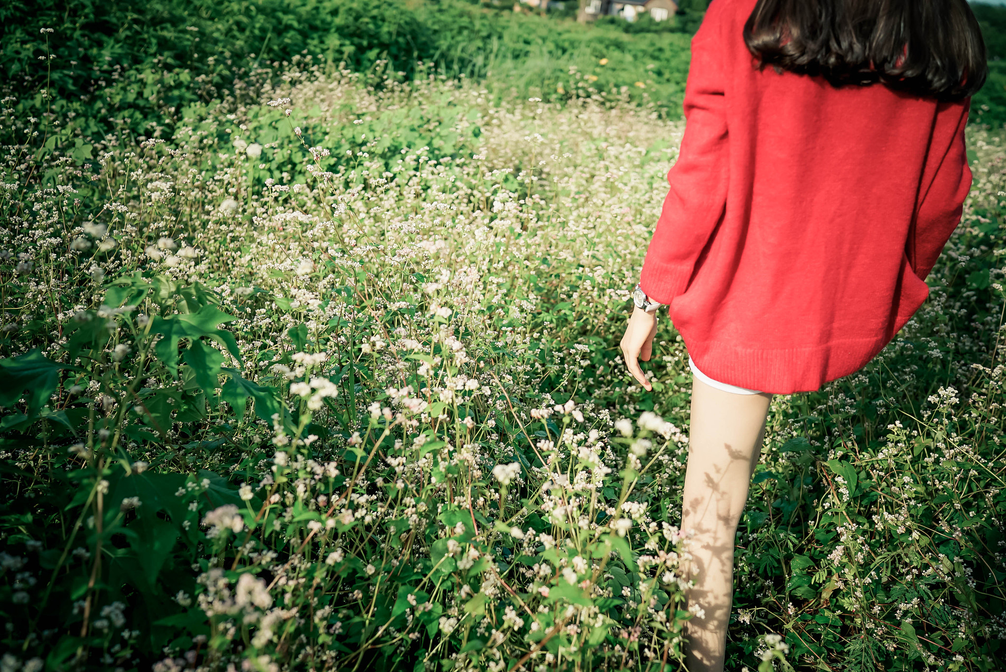 Sony a7S + Sony Distagon T* FE 35mm F1.4 ZA sample photo. 27.jpg photography