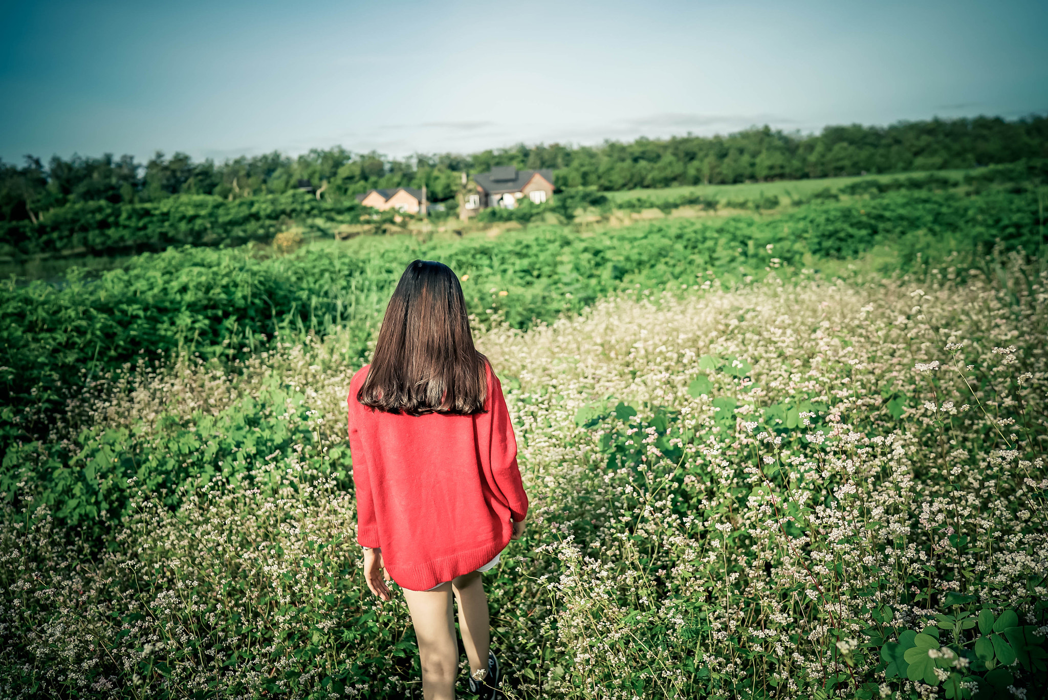 Sony a7S + Sony Distagon T* FE 35mm F1.4 ZA sample photo. 28-2.jpg photography