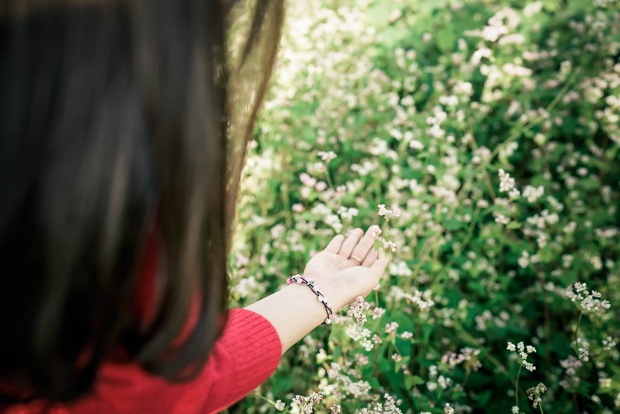 Sony a7S + Sony Distagon T* FE 35mm F1.4 ZA sample photo. 29-2.jpg photography