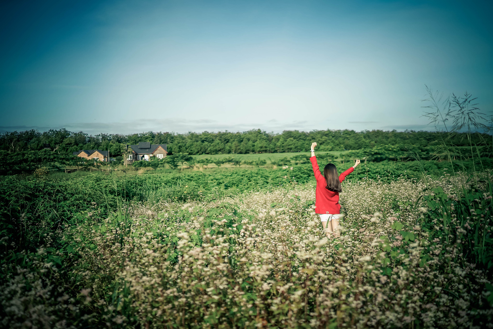Sony a7S + Sony Distagon T* FE 35mm F1.4 ZA sample photo. 31-2.jpg photography