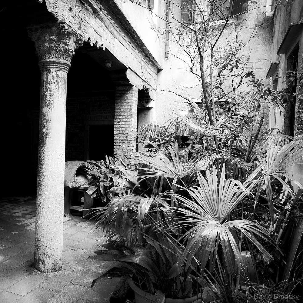 Sony Alpha NEX-7 + Sony E 10-18mm F4 OSS sample photo. Venetian garden photography