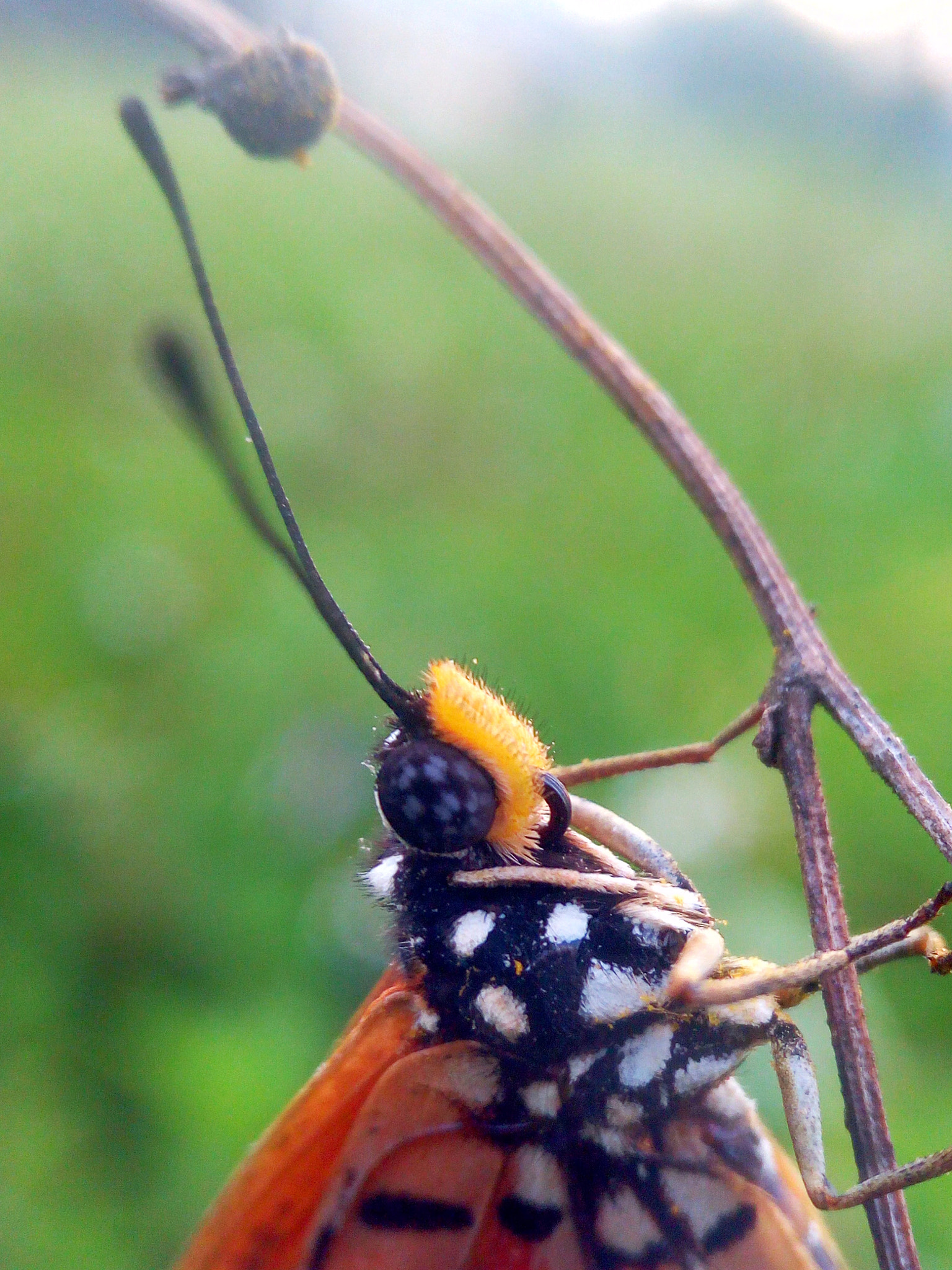 Infinix HOT S sample photo. Look at me photography