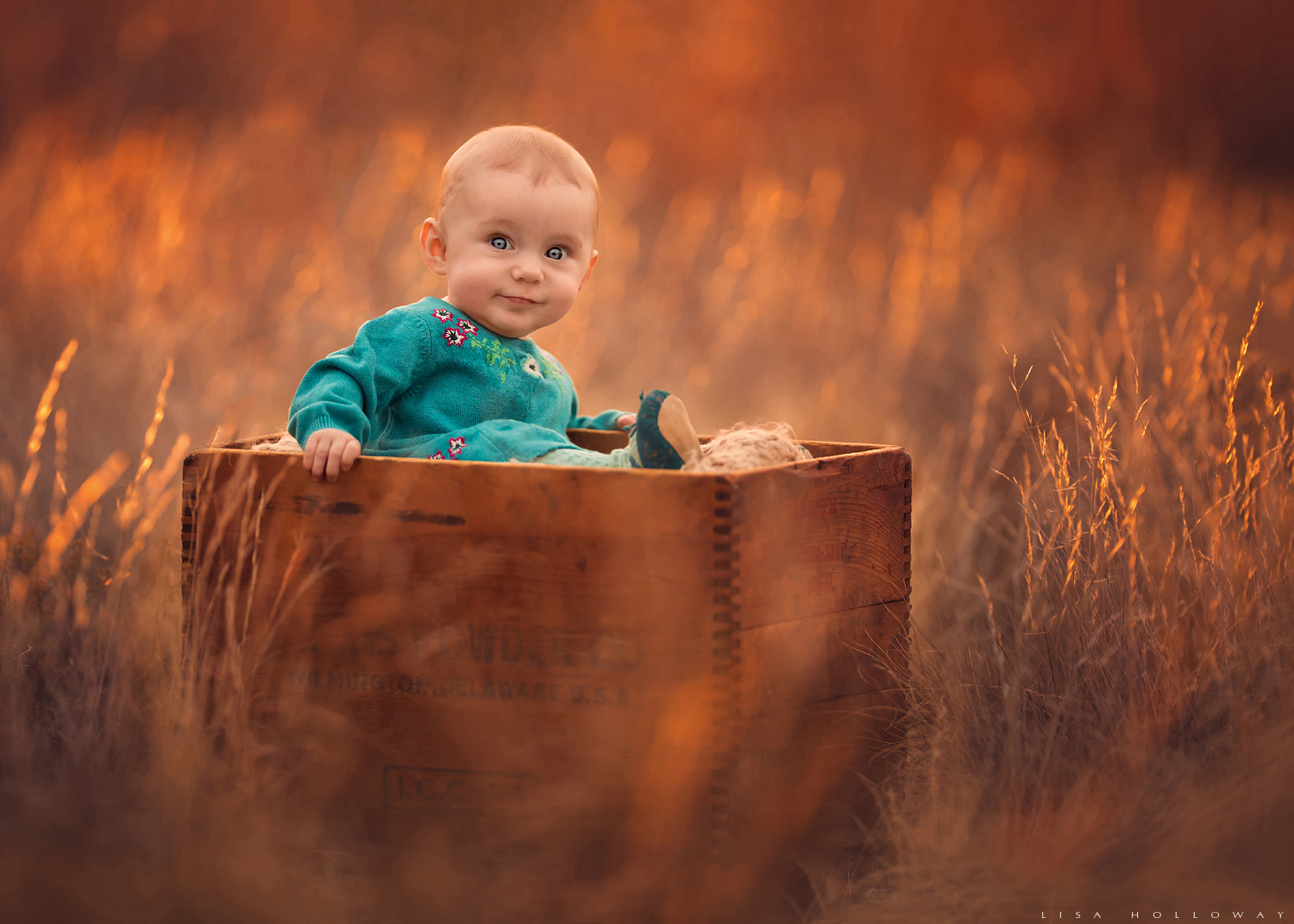 Canon EF 200mm F2L IS USM sample photo. 6 months! photography