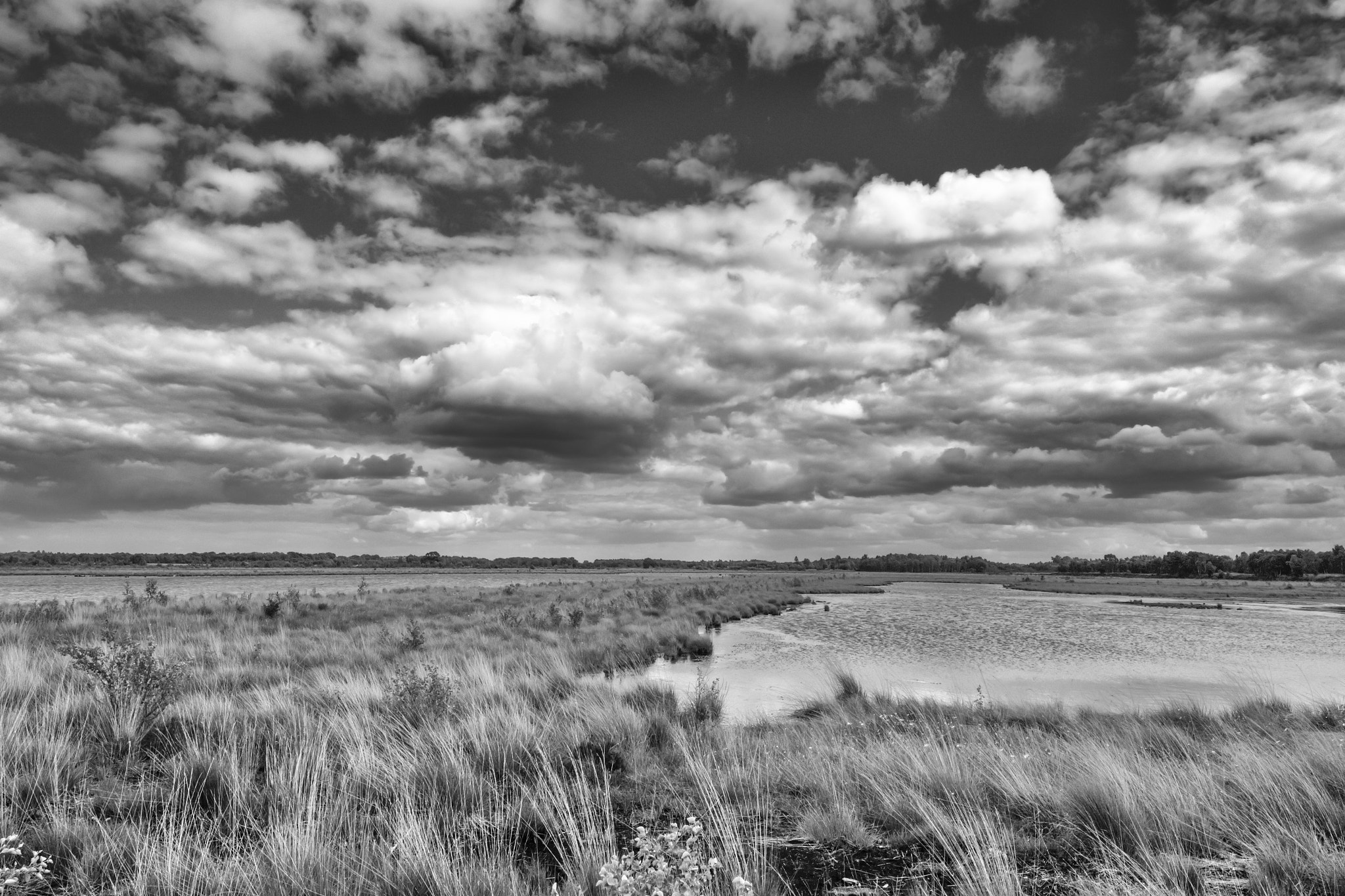 Sigma 8-16mm F4.5-5.6 DC HSM sample photo. Moor worpswede photography