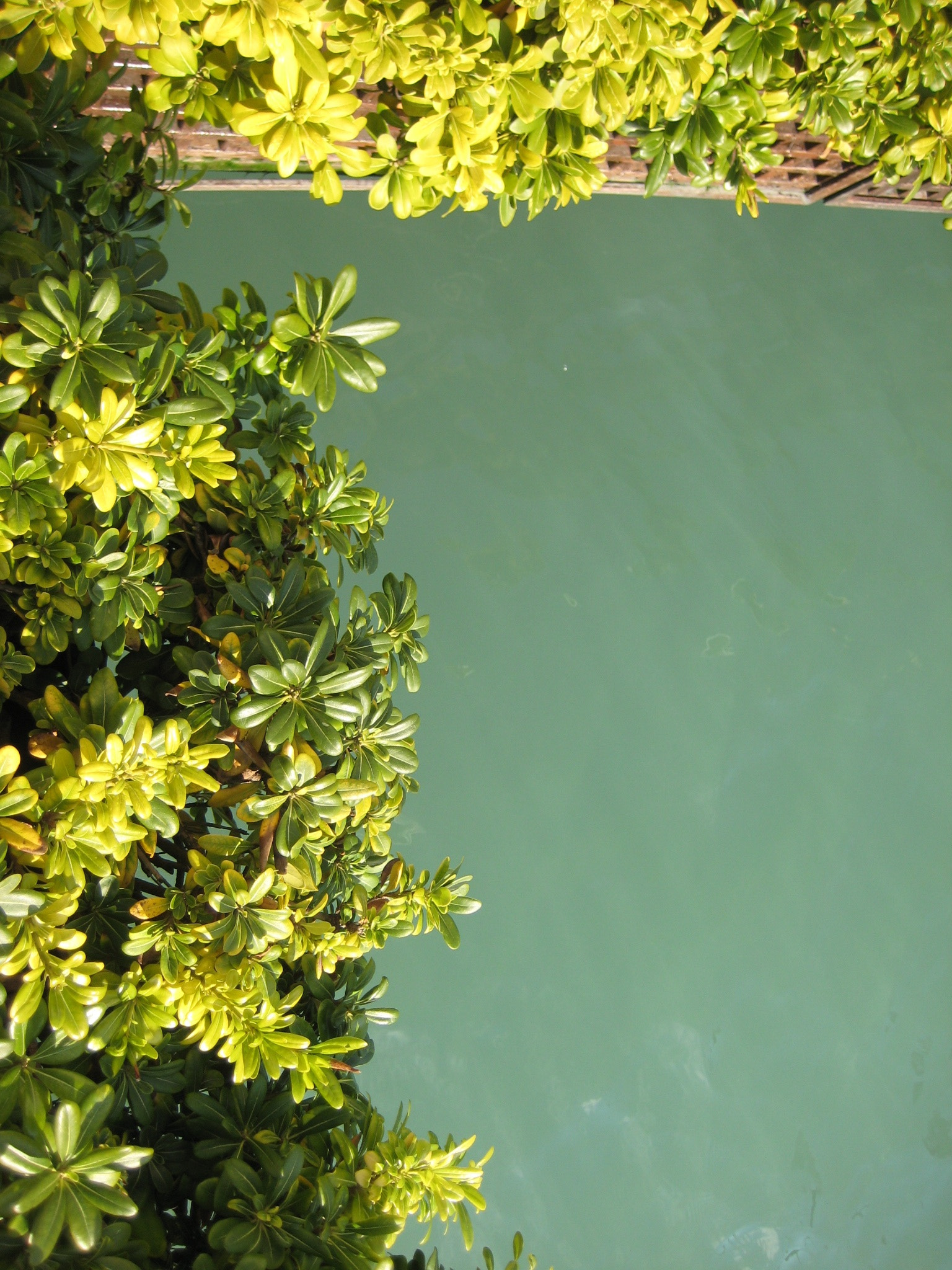 Canon DIGITAL IXUS 75 sample photo. Top view photography