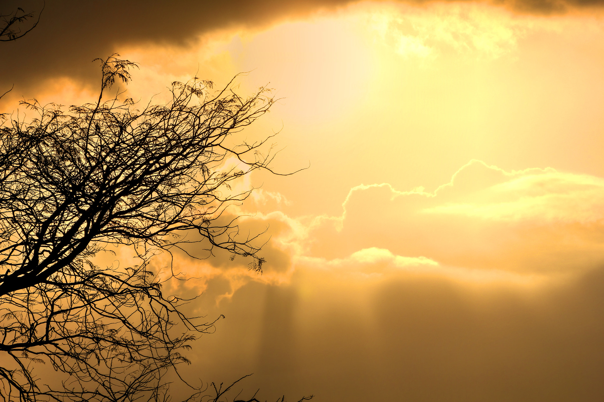 Canon EF 75-300mm F4.0-5.6 IS USM sample photo. Ubud sunset photography