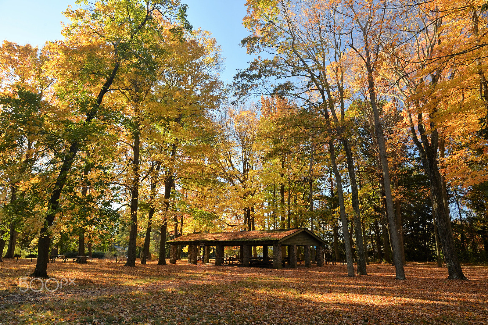 Nikon Df sample photo. Autumn in pennsylvania photography