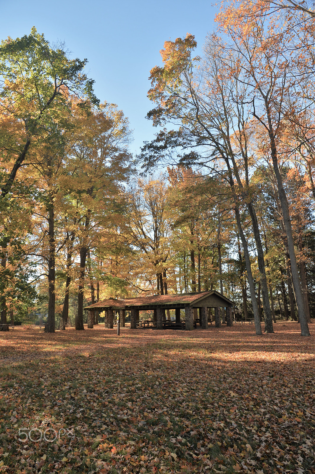 Nikon Df sample photo. Autumn in pennsylvania 2 photography