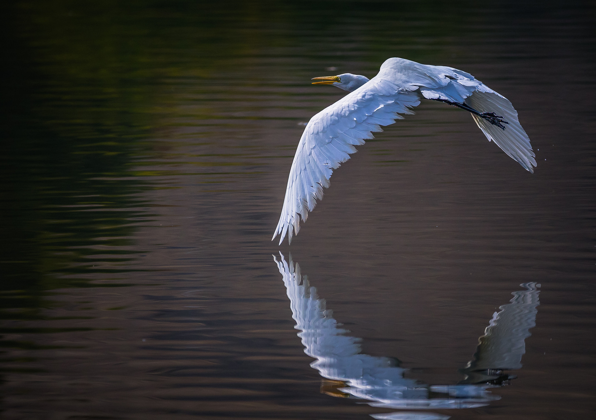 150-600mm F5-6.3 DG OS HSM | Contemporary 015 sample photo. Escape reflection photography