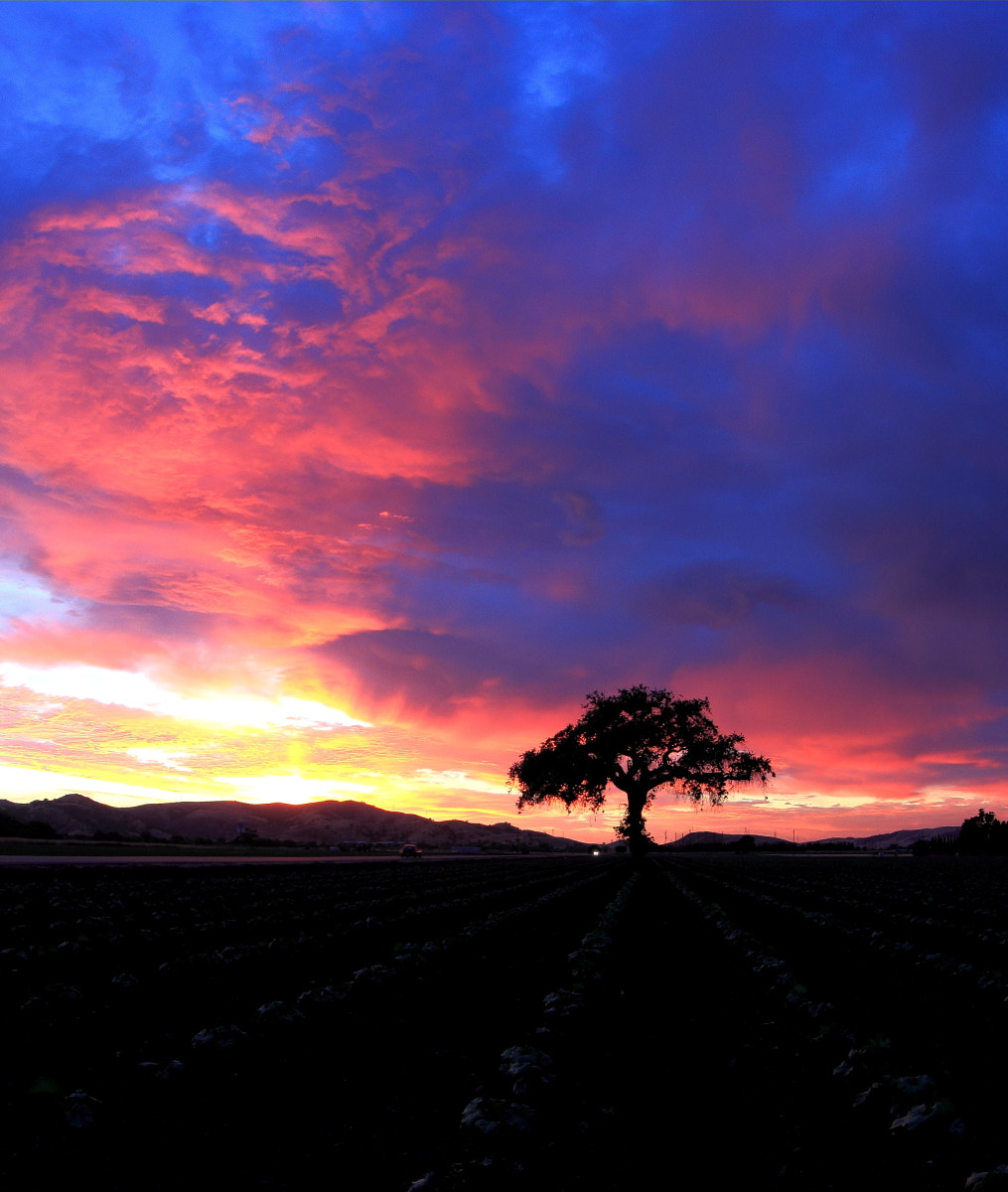 Canon EF 8-15mm F4L Fisheye USM sample photo. Eos d photography