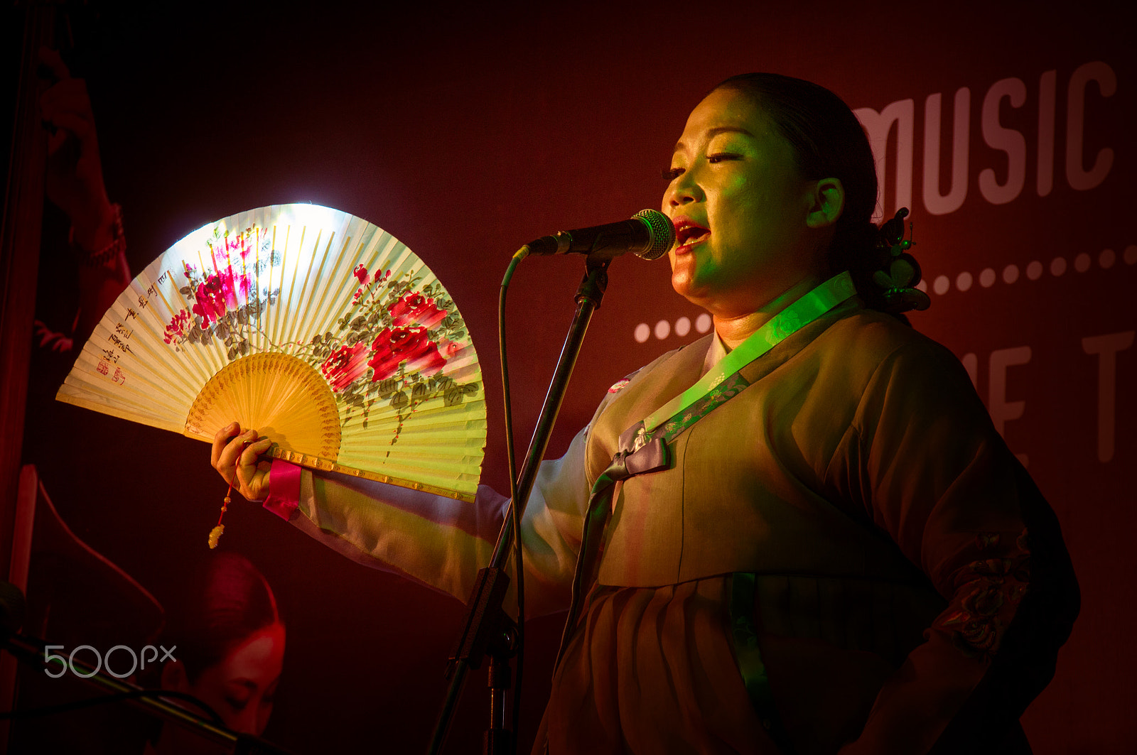 Tamron 18-270mm F3.5-6.3 Di II PZD sample photo. World music ensemble photography