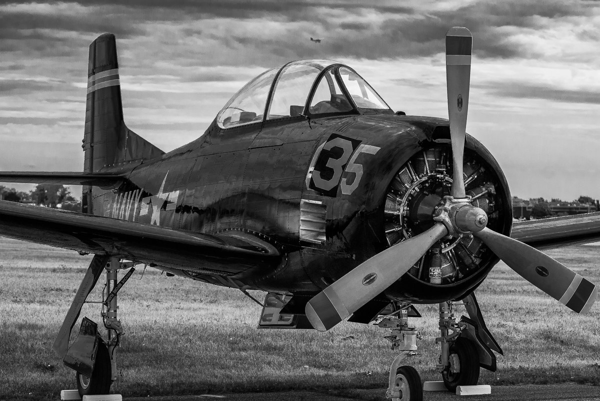 Nikon D200 sample photo. Freedom fighter photography