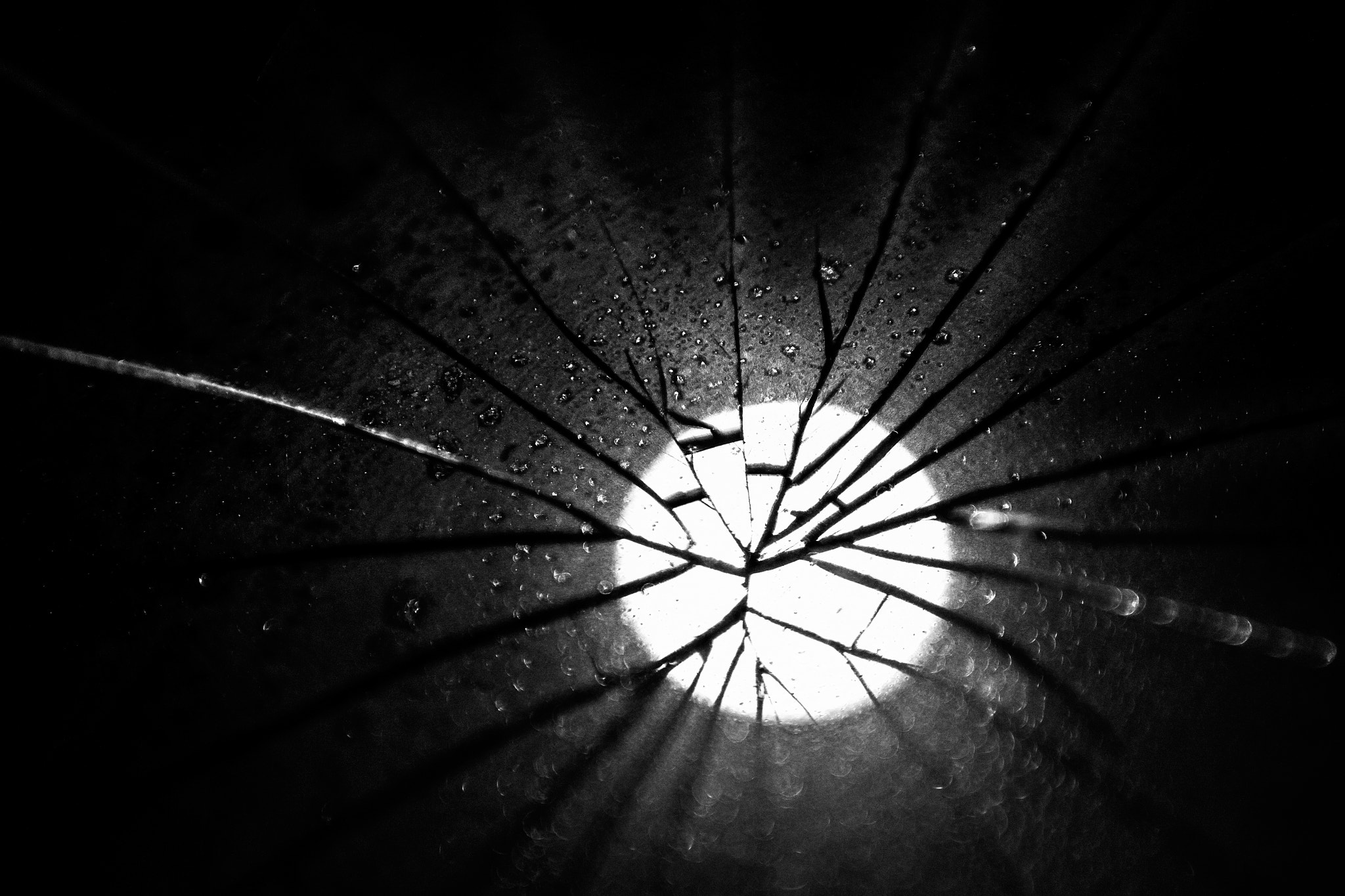 Canon EOS 700D (EOS Rebel T5i / EOS Kiss X7i) + Sigma 24-70mm F2.8 EX DG Macro sample photo. Shattered sun photography