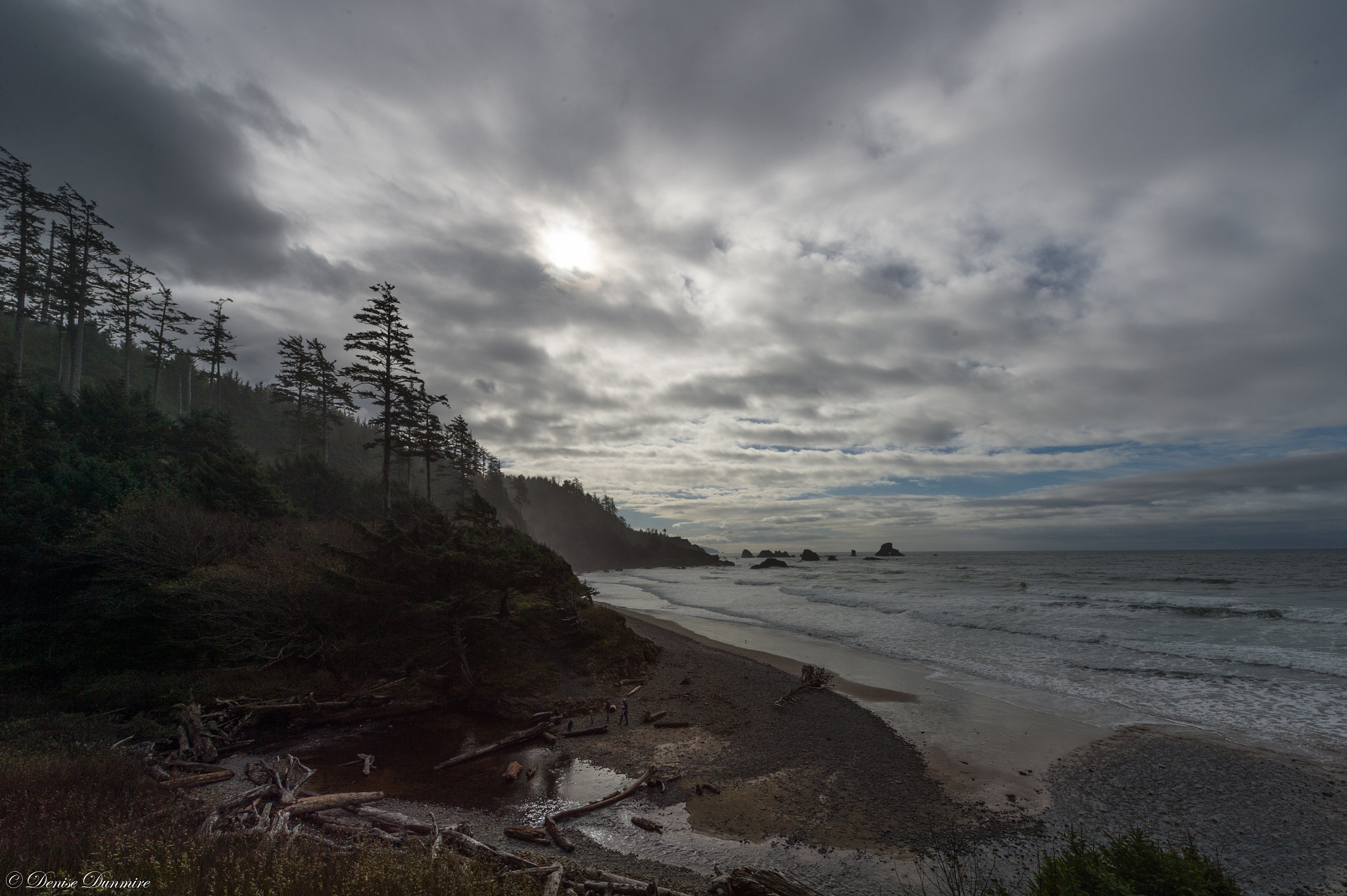 Nikon Df sample photo. Oregon coast in october photography