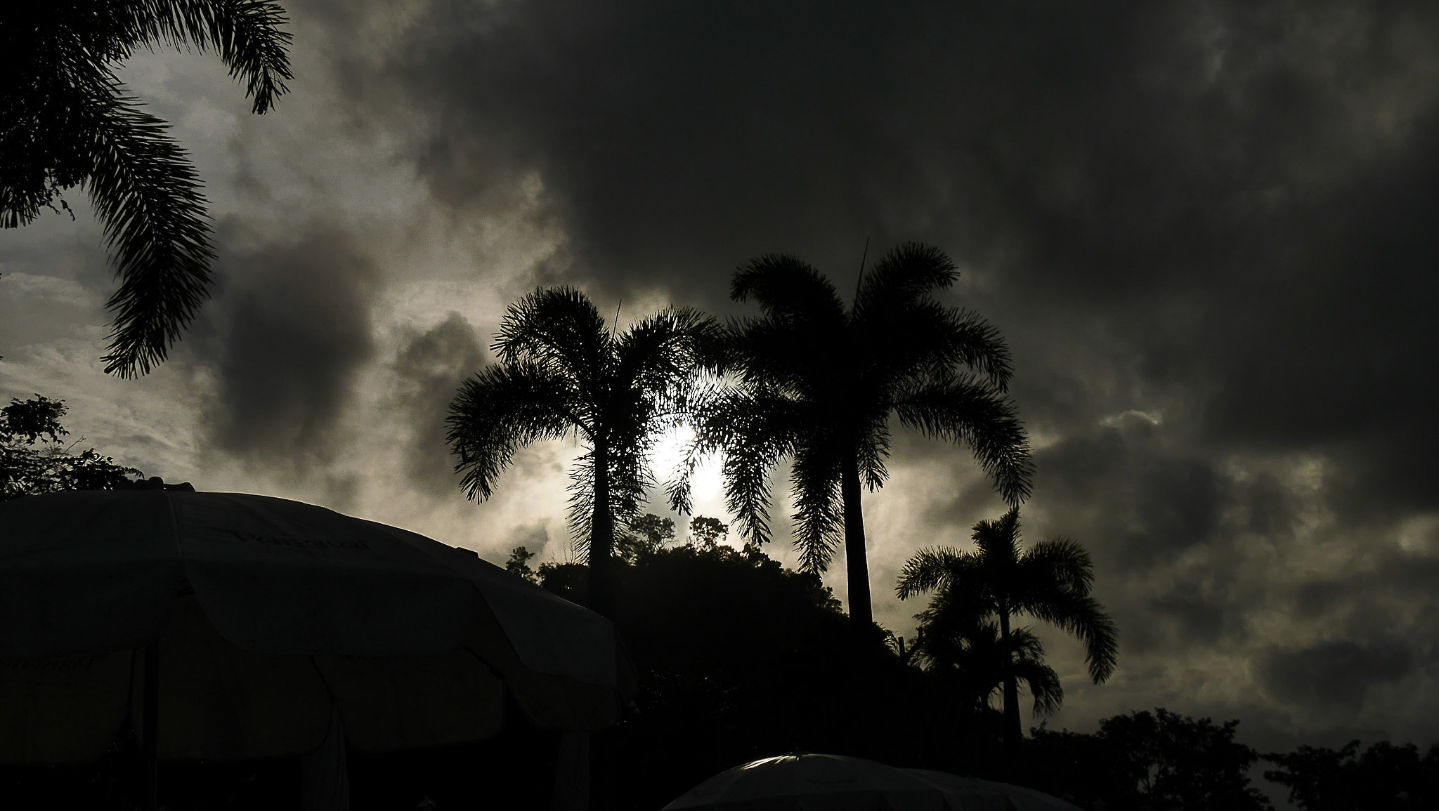 Panasonic Lumix DMC-GX7 sample photo. P photography