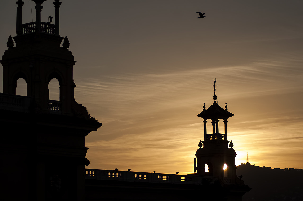 Nikon D5000 sample photo. Across the sky photography