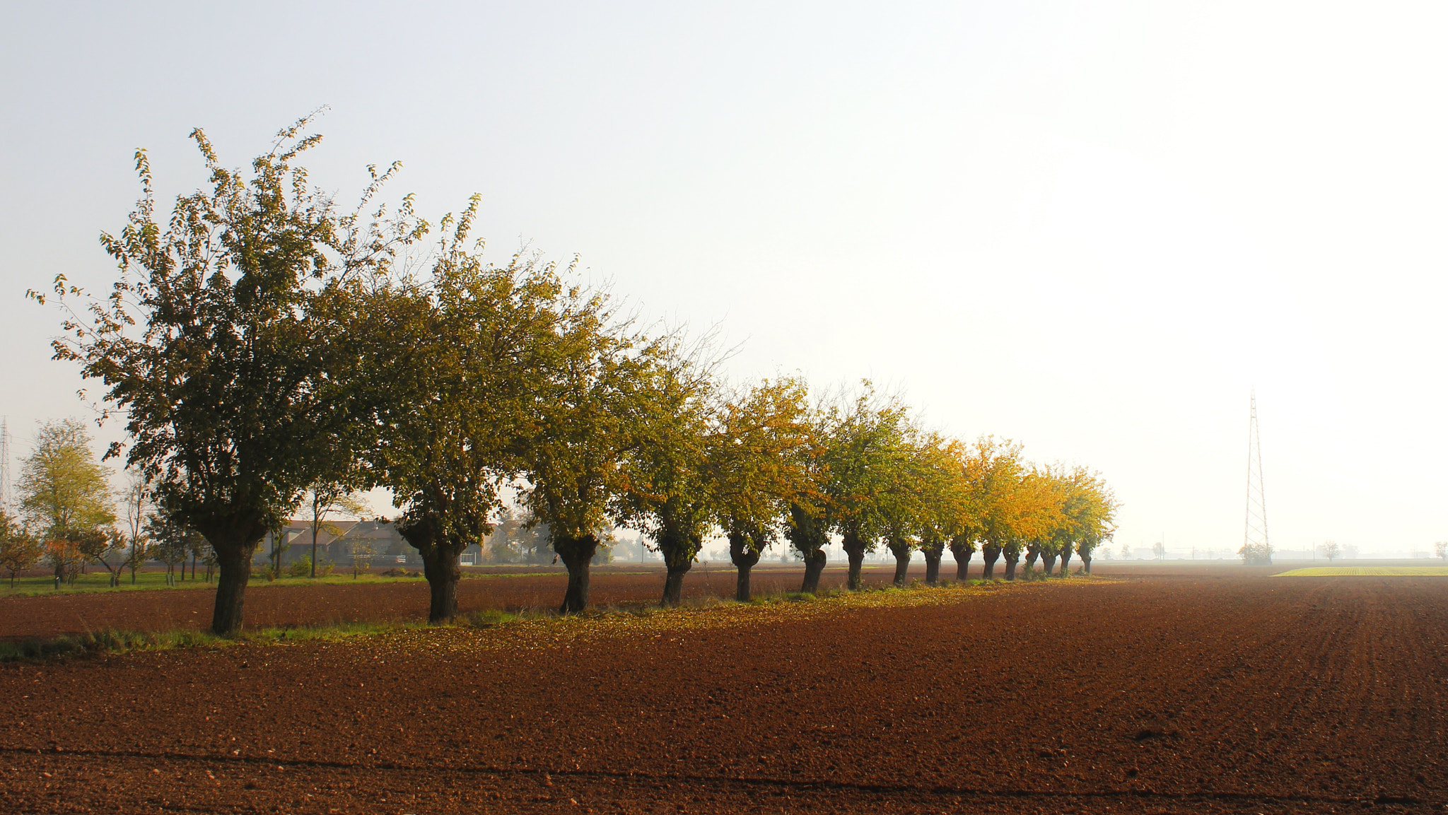 Canon EF-S 18-55mm F3.5-5.6 IS sample photo. Come soldatini photography