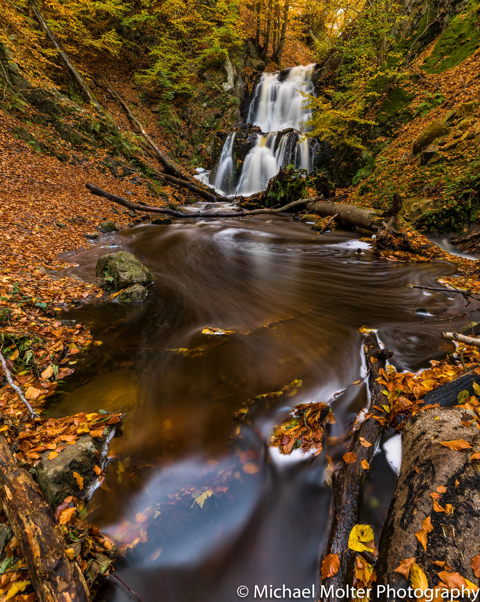 Hasselblad H4D + HCD 24 sample photo. Autumn at forsakar photography