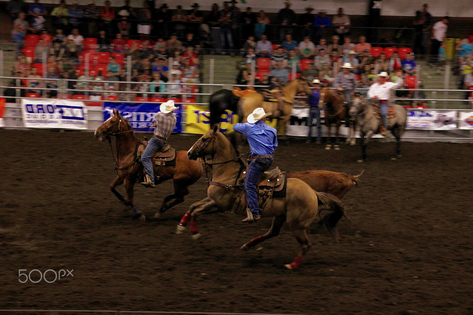 Canon EOS 550D (EOS Rebel T2i / EOS Kiss X4) sample photo. Rodeo 4 photography