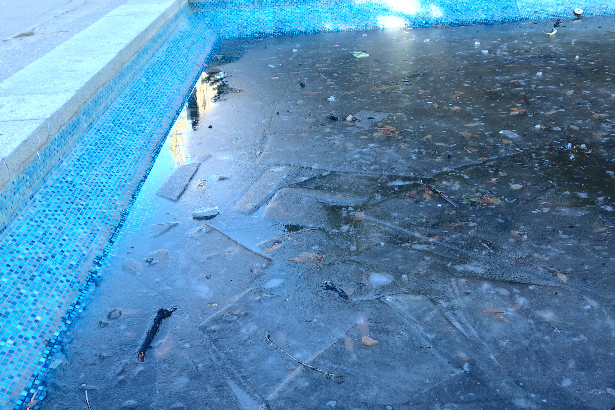 PENTAX RICOH IMAGING PENTAX MX-1 sample photo. First ice  photography