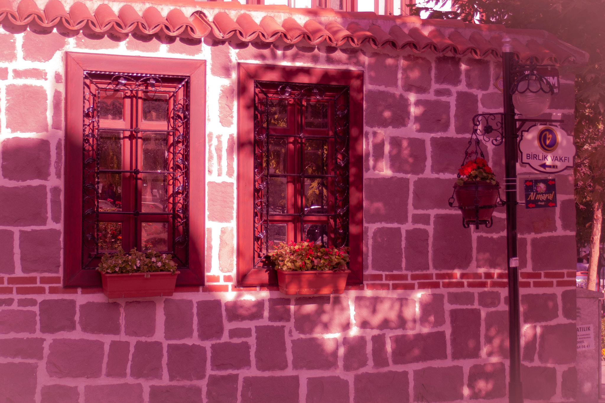 Canon EF 28-80mm f/3.5-5.6 sample photo. Windows photography
