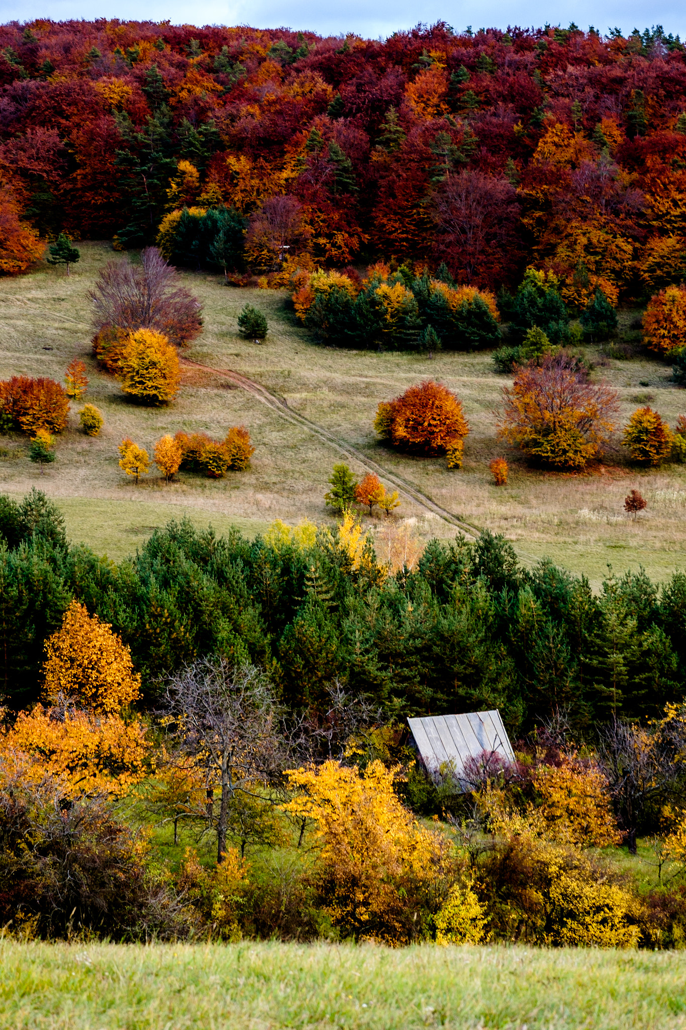 Fujifilm X-E2 + Fujifilm XC 50-230mm F4.5-6.7 OIS sample photo. Autumn colours photography