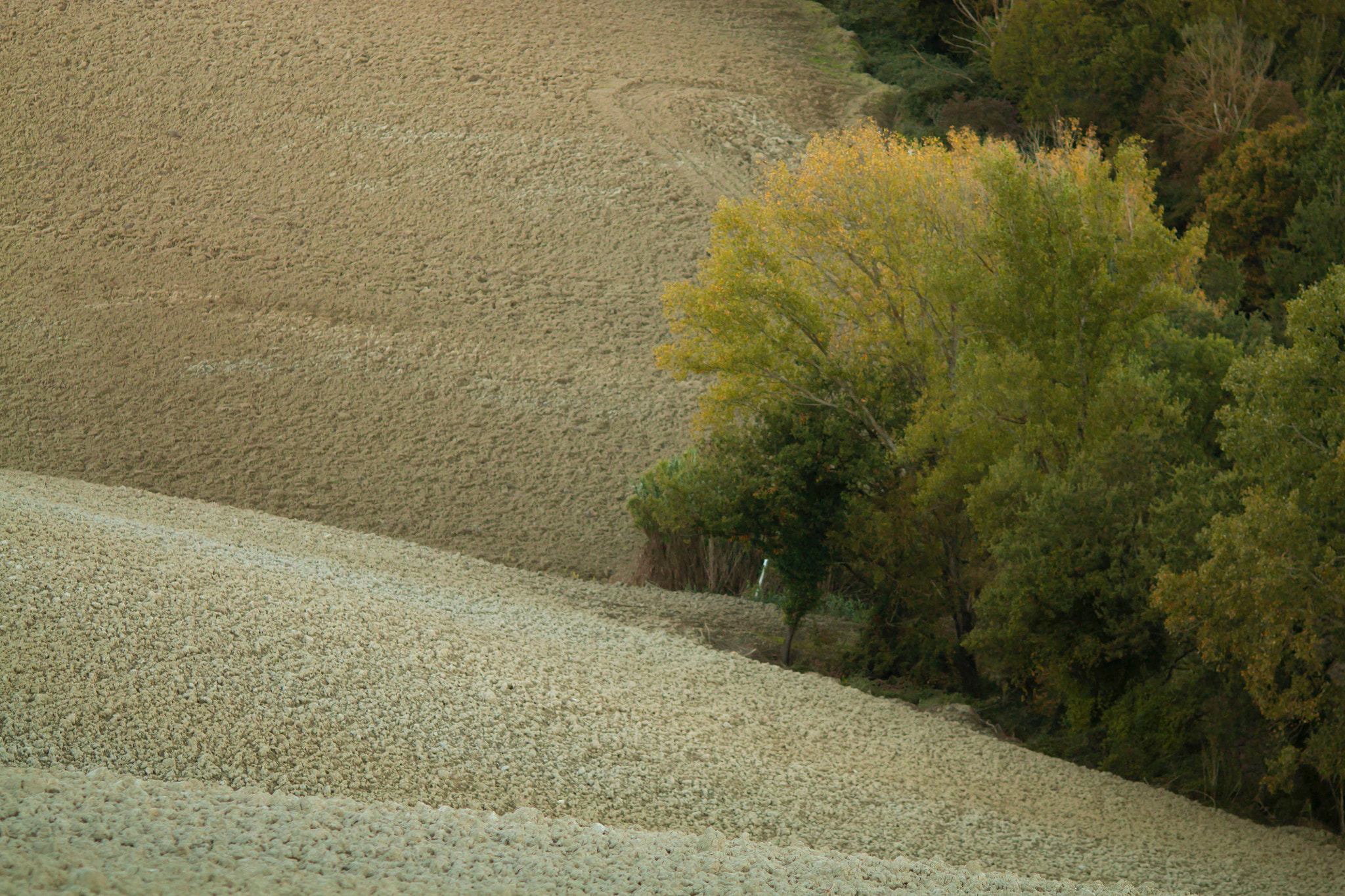 Canon EOS 450D (EOS Rebel XSi / EOS Kiss X2) + Canon EF 135mm F2L USM sample photo. Land of tuscany ii photography