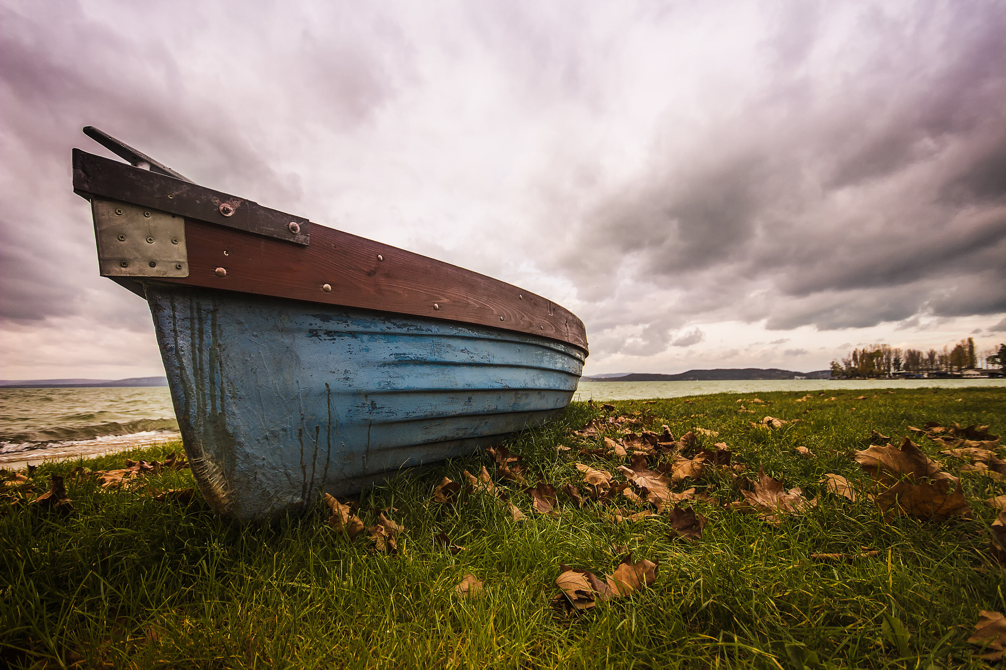 Canon EOS 700D (EOS Rebel T5i / EOS Kiss X7i) + Sigma 10-20mm F4-5.6 EX DC HSM sample photo. Balaton fall... photography