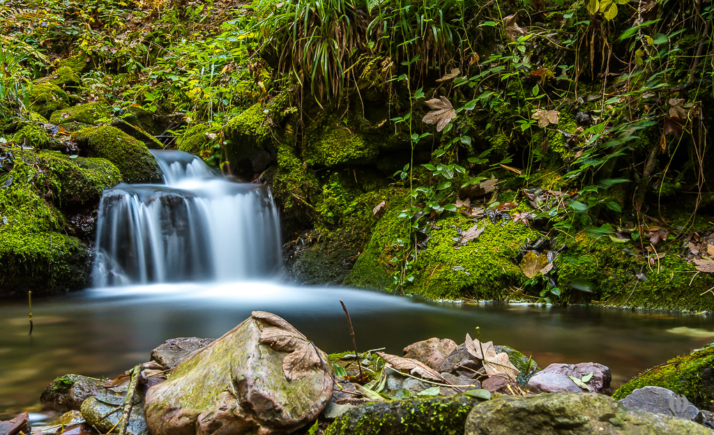 Nikon D500 + Sigma 18-35mm F1.8 DC HSM Art sample photo. Edelfrauen- waterfalls, black forest, germany photography