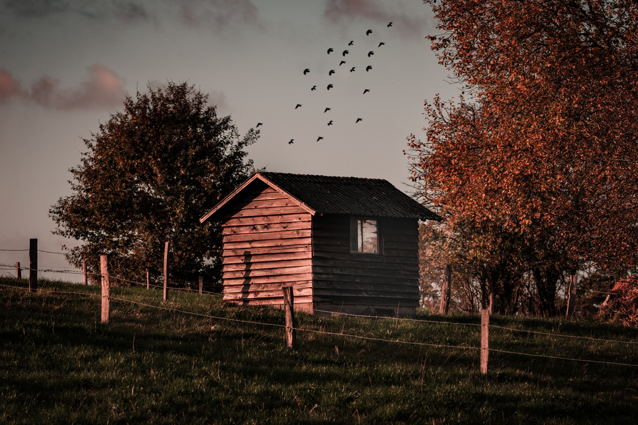 Sigma 150-600mm F5-6.3 DG OS HSM | C sample photo. The hut photography