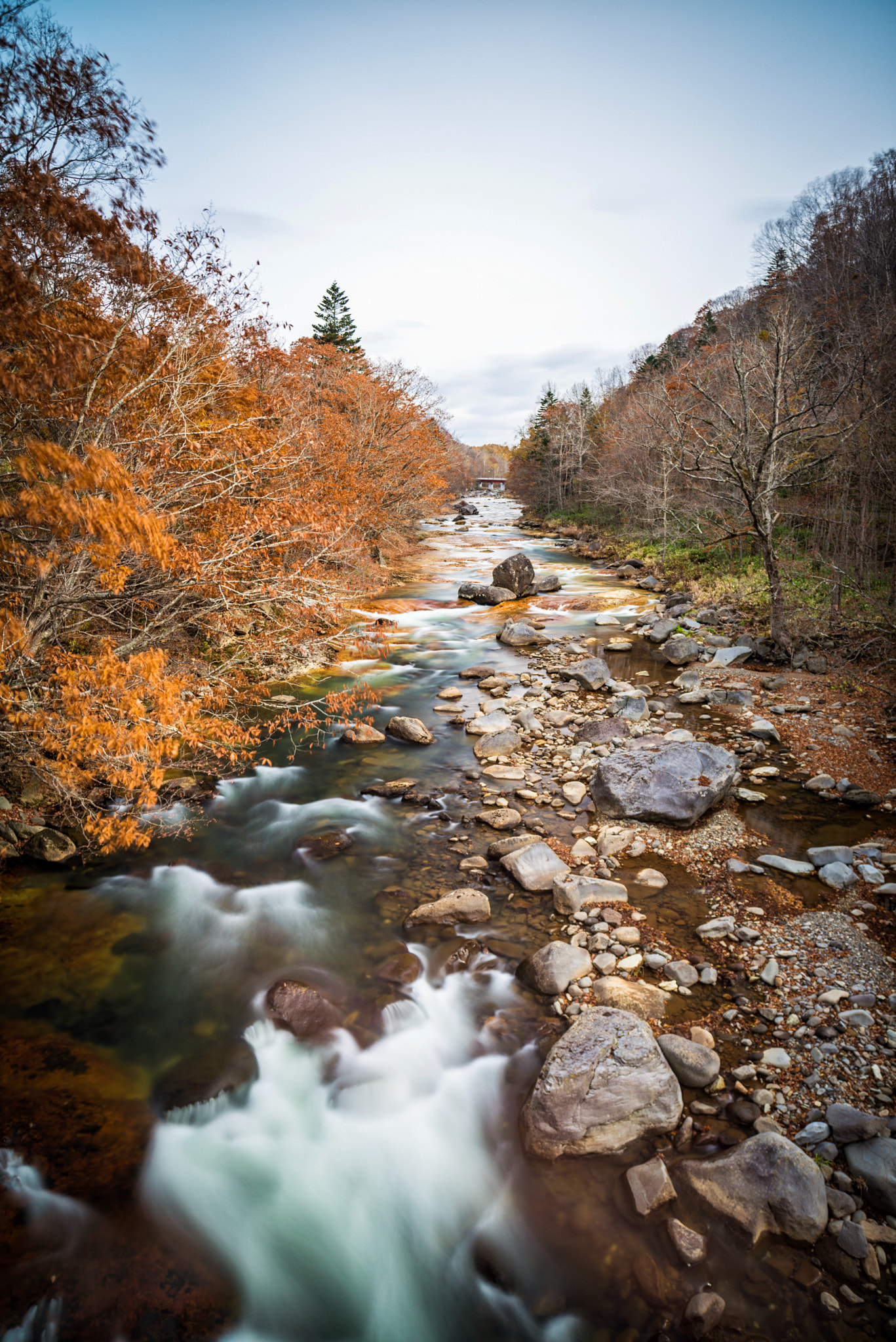 Nikon D800 sample photo. Fall in hokkaido photography