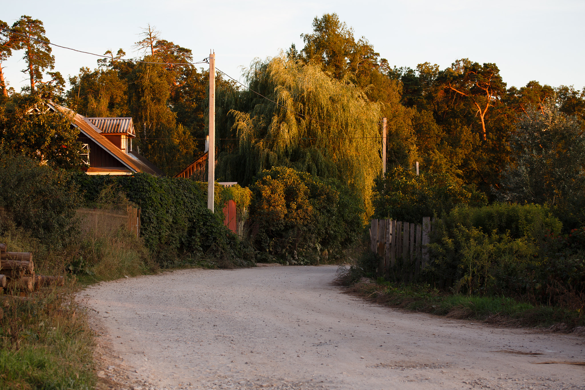 Canon EF-S 60mm F2.8 Macro USM sample photo. Optina. rural road at sunset. photography
