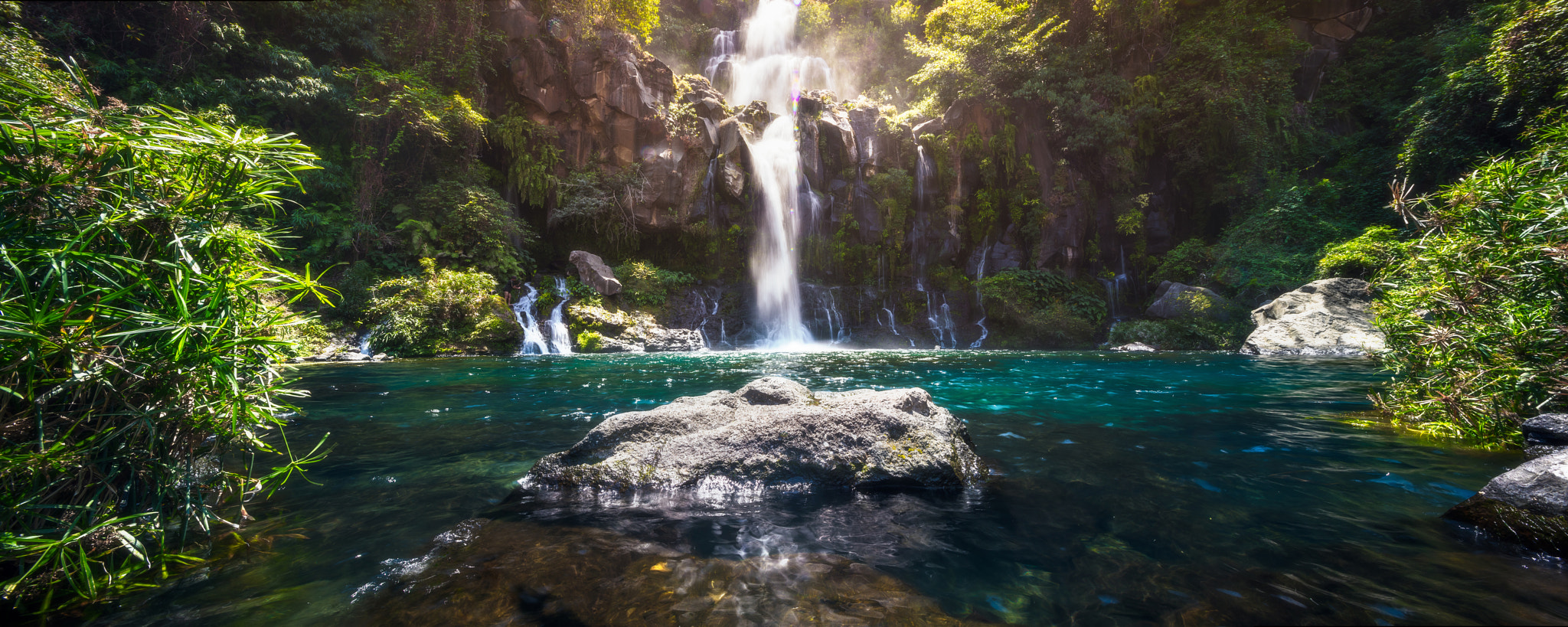 Canon EOS 5DS + Canon TS-E 17mm F4L Tilt-Shift sample photo. Egrets basin photography