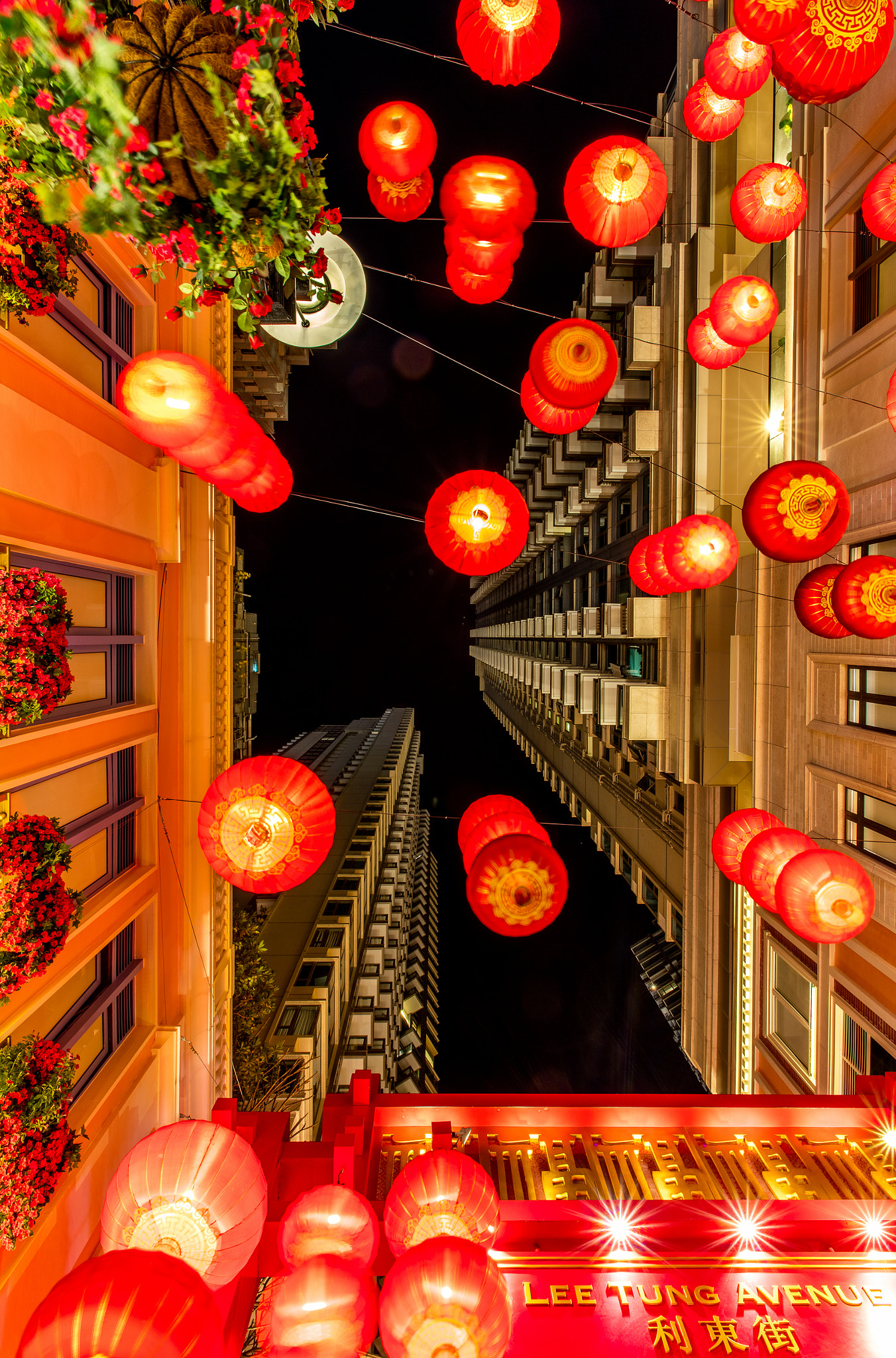 ZEISS Distagon T* 18mm F3.5 sample photo. Red lamps in the lee tung avenue in hongkong photography