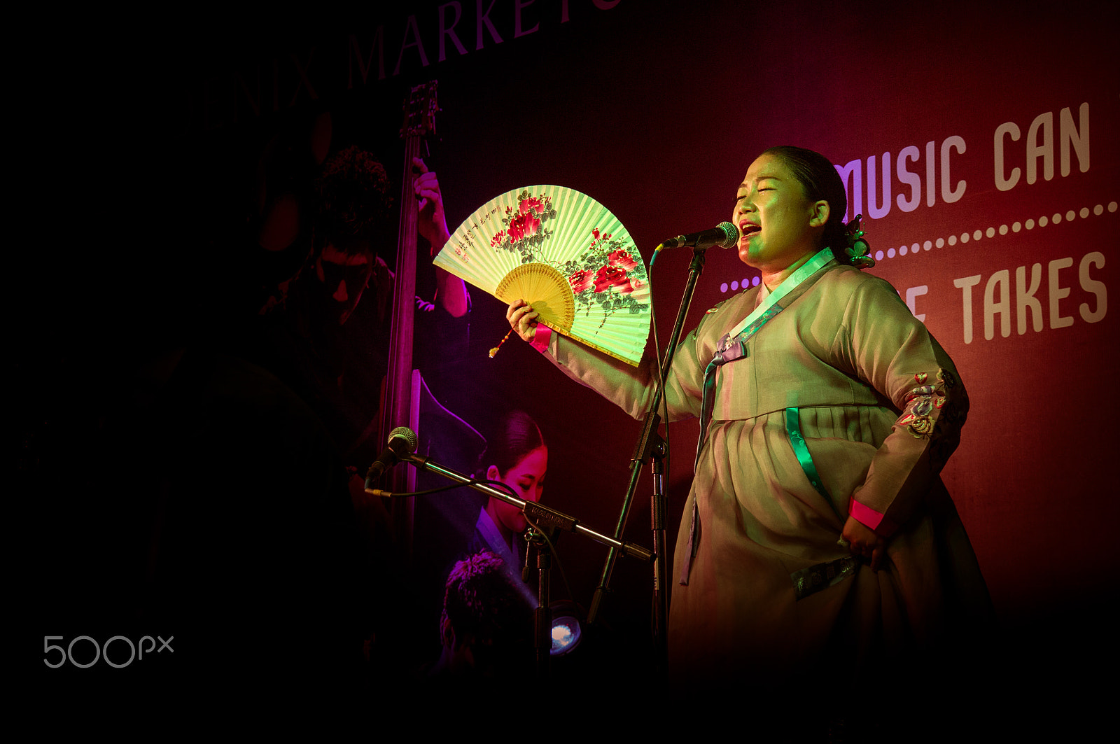 Tamron 18-270mm F3.5-6.3 Di II PZD sample photo. Korean singer photography