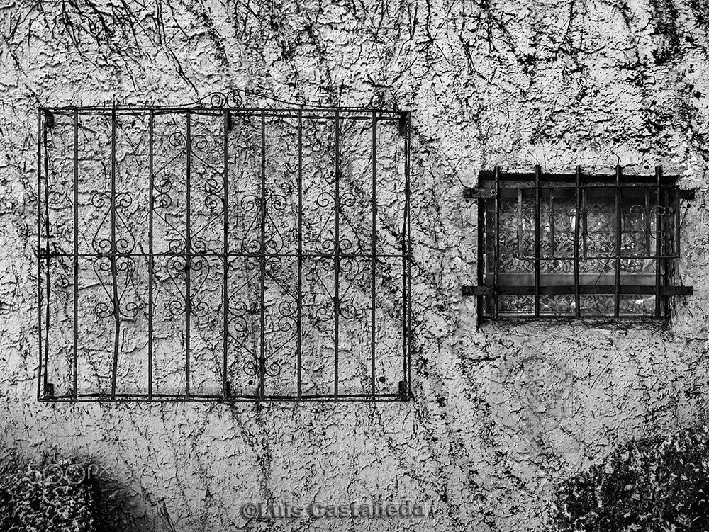 Panasonic Lumix G X Vario 35-100mm F2.8 OIS sample photo. Old wall. redlands. photography
