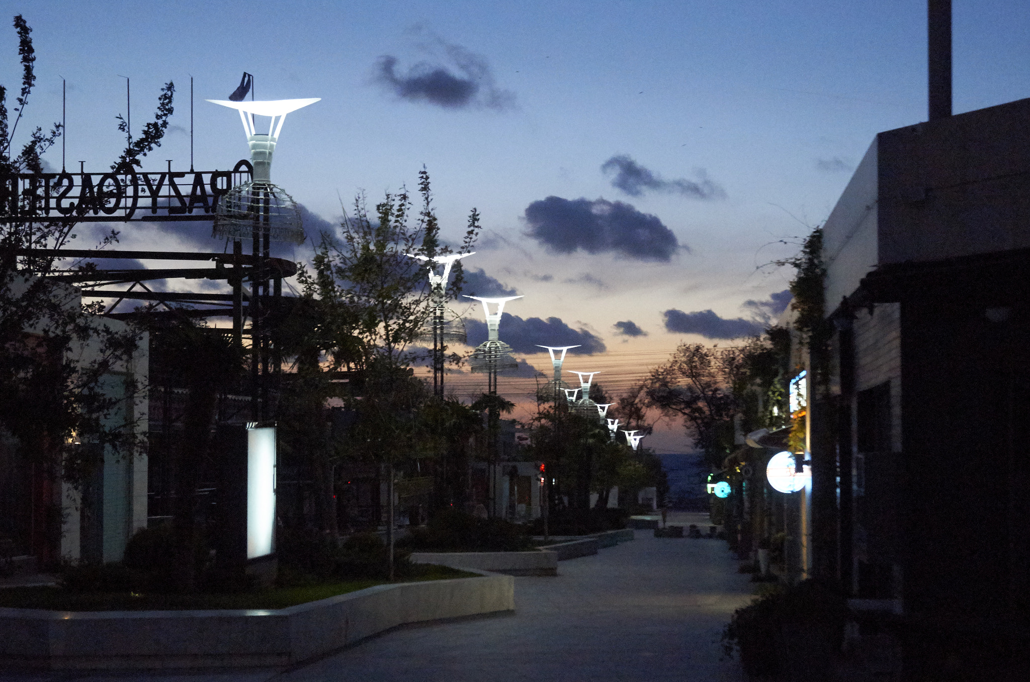 Sony SLT-A37 sample photo. Arcadia photography