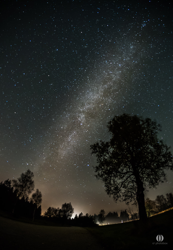 Nikon D500 + Samyang 8mm F3.5 Aspherical IF MC Fisheye sample photo. Black forest by night... photography