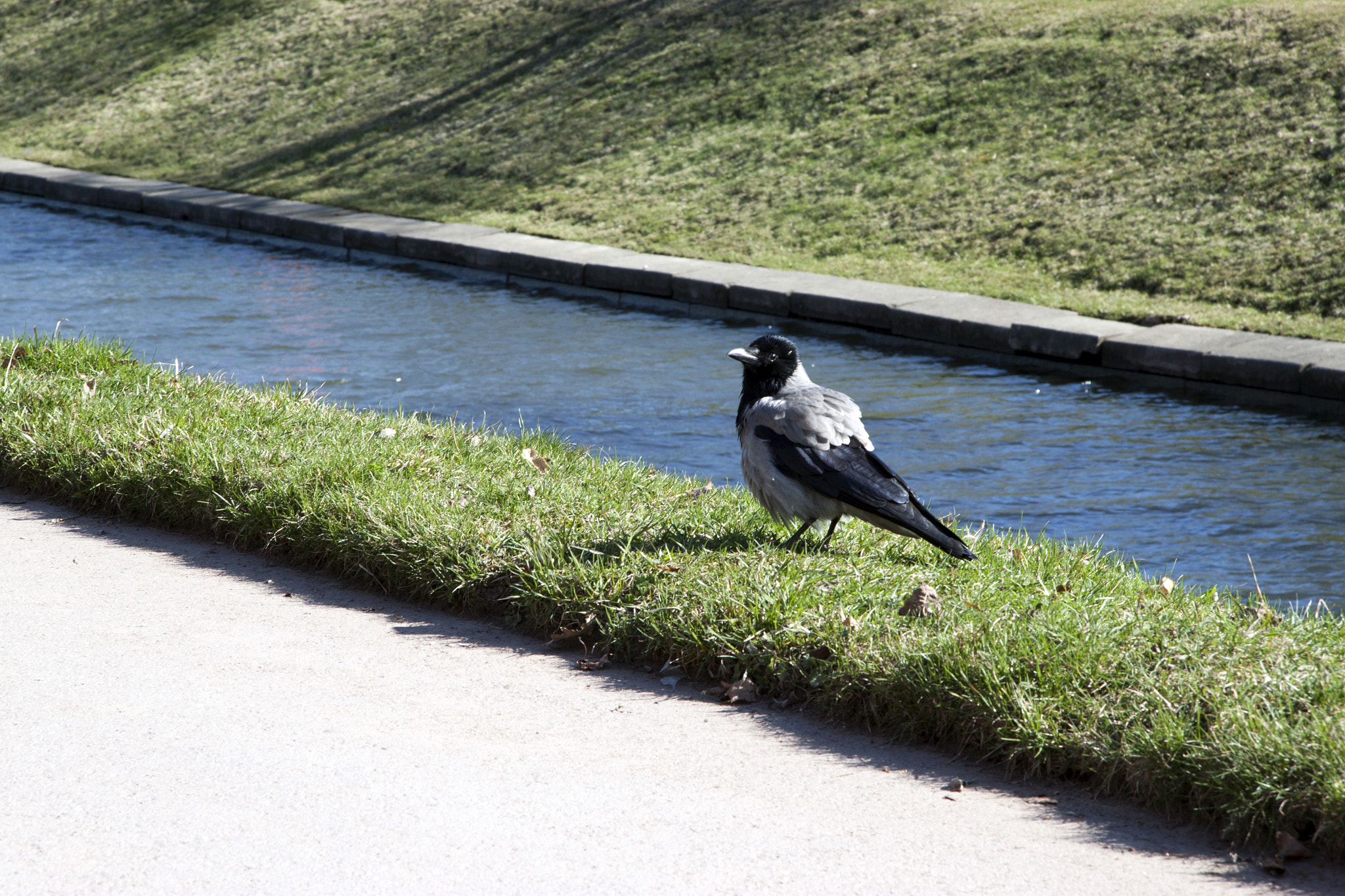 Canon EF-S 17-85mm F4-5.6 IS USM sample photo