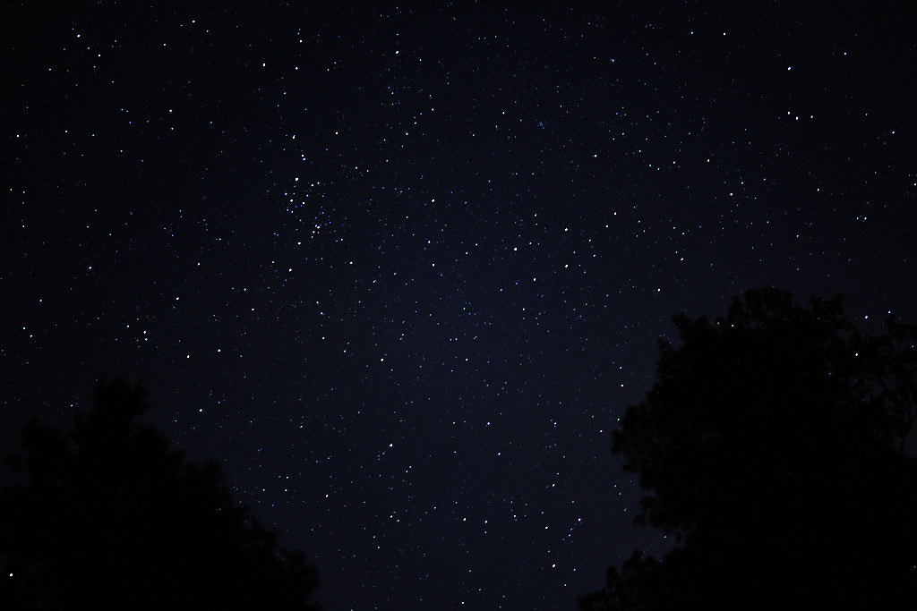 Nikon AF-S DX Nikkor 35mm F1.8G sample photo. Nightsky photography