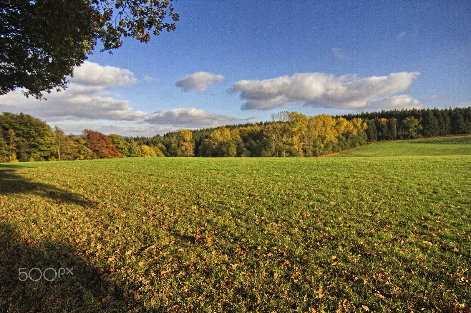 Tokina AT-X Pro 12-24mm F4 (IF) DX sample photo. Colours of autumn photography