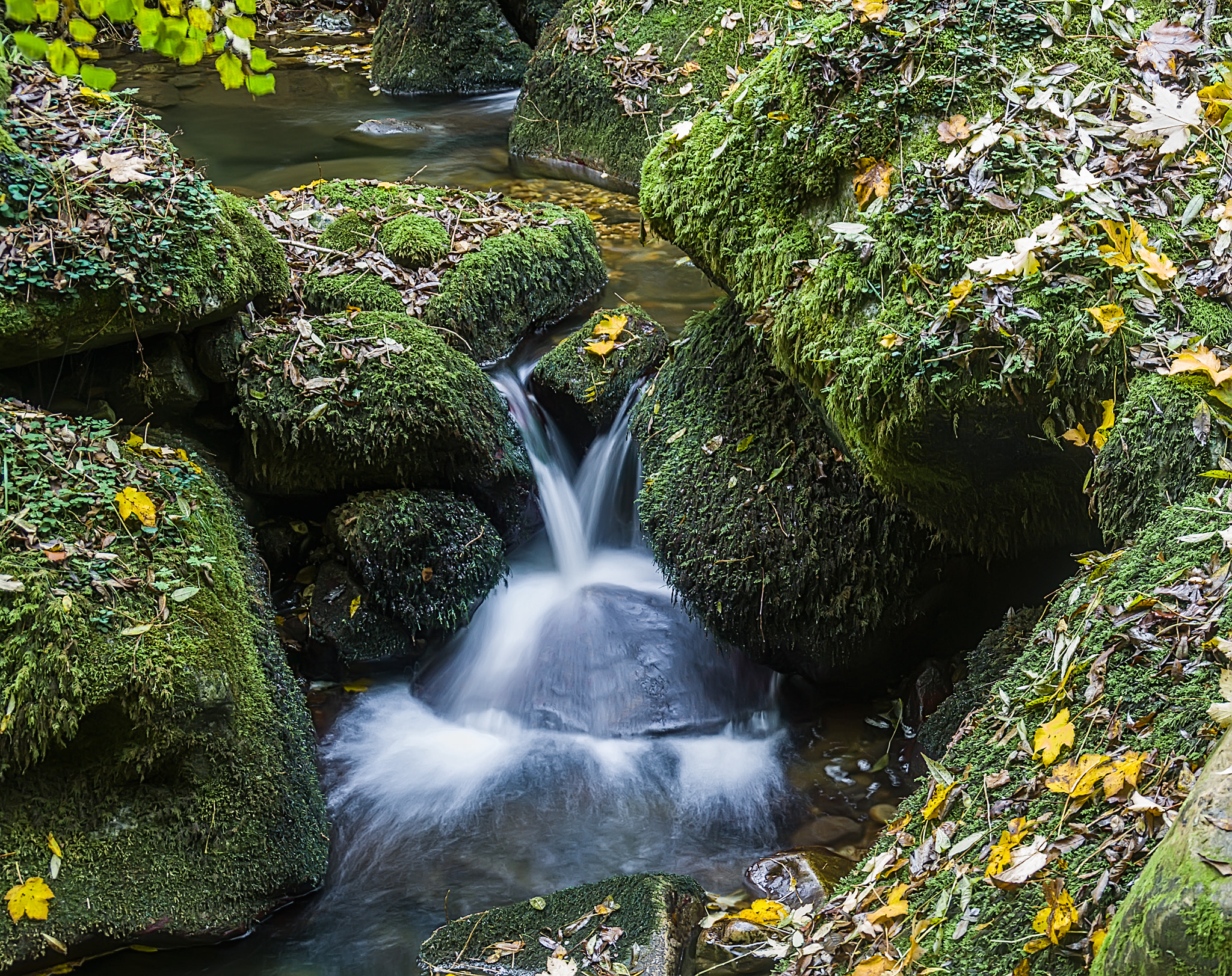 Sony Alpha DSLR-A580 + Tamron SP 24-70mm F2.8 Di VC USD sample photo. Agua y verdes, en redes photography