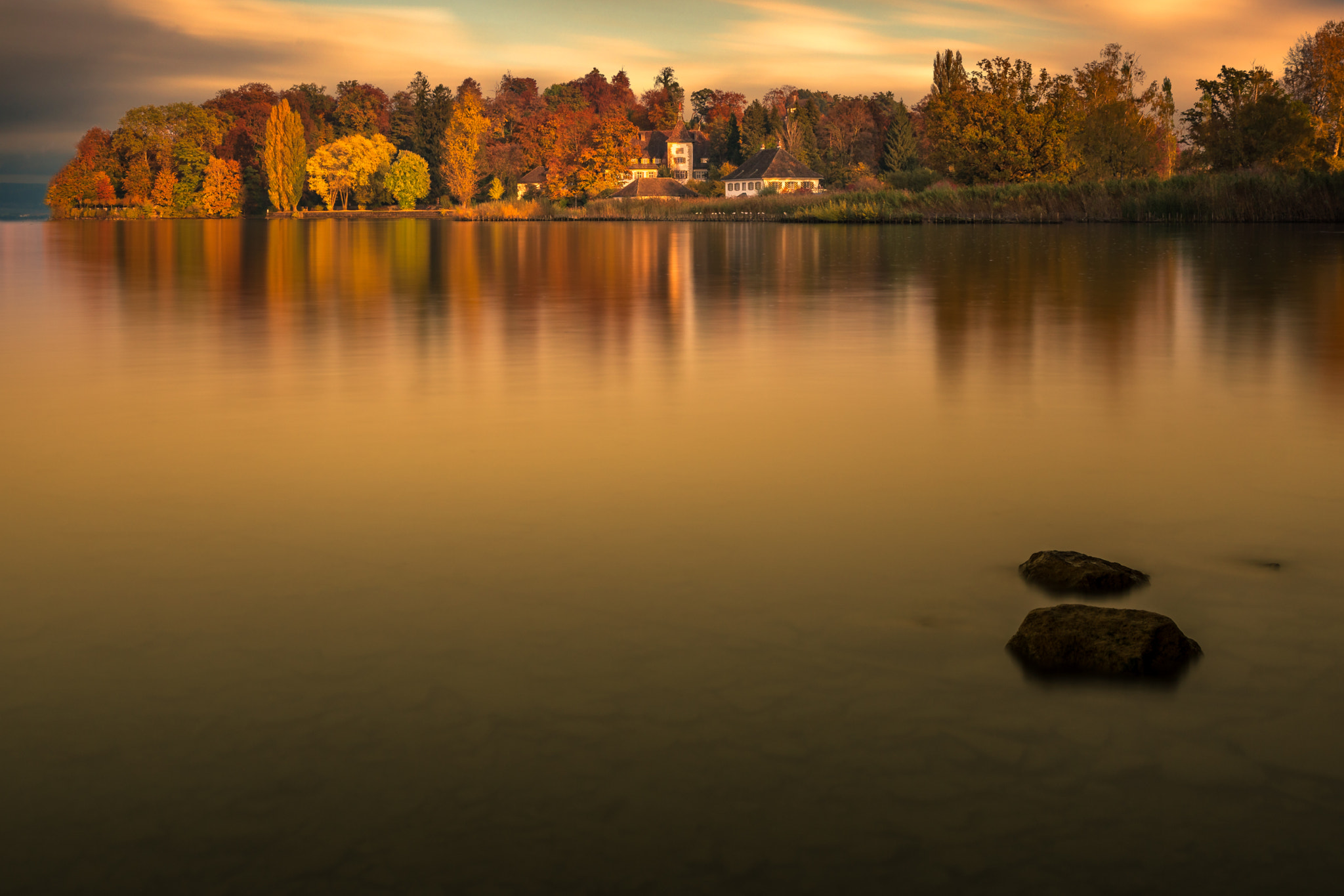 Sony ILCA-77M2 sample photo. Golden october evening photography