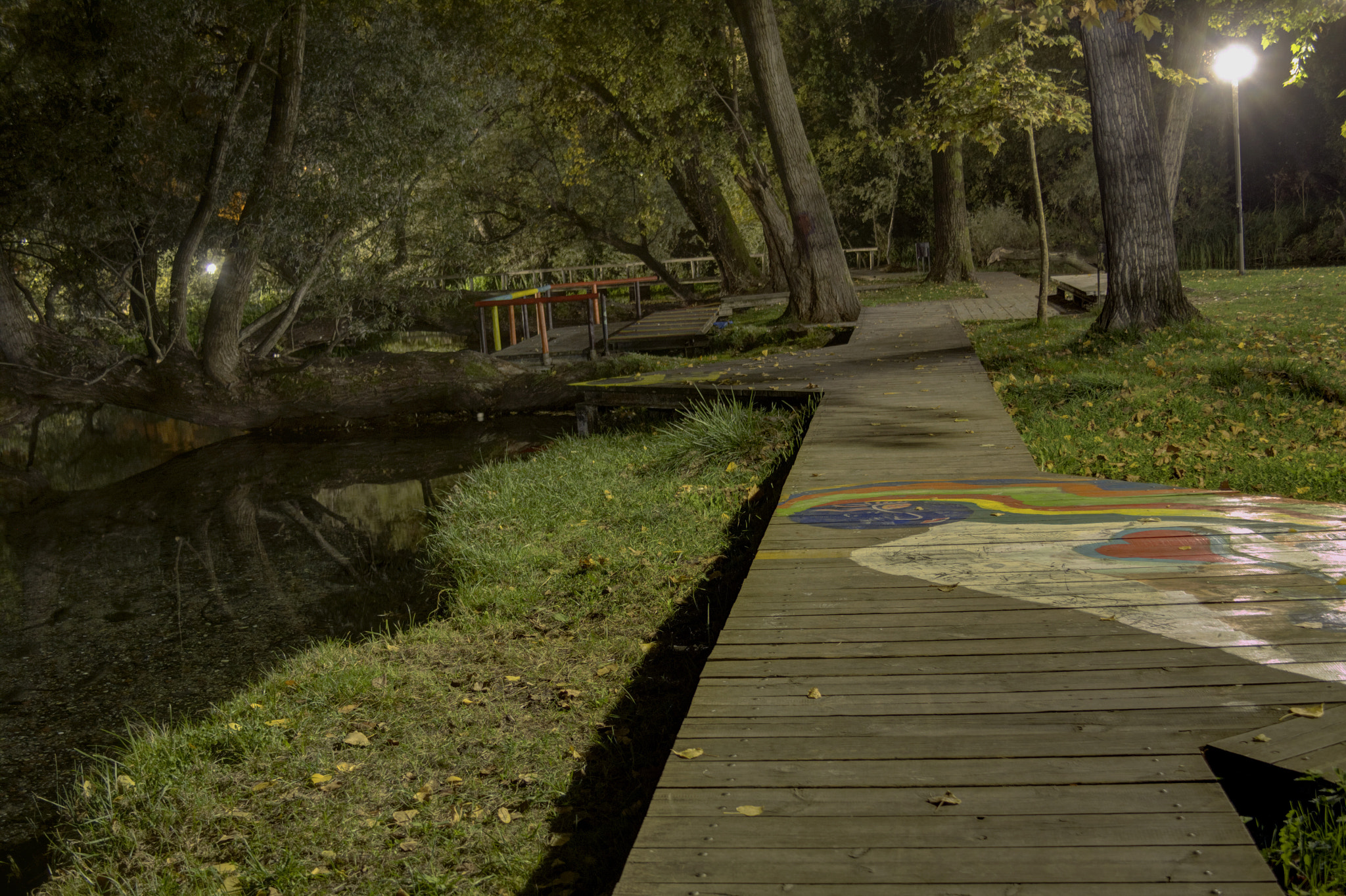 Canon EF-S 18-55mm F3.5-5.6 II sample photo. St. barbara park photography